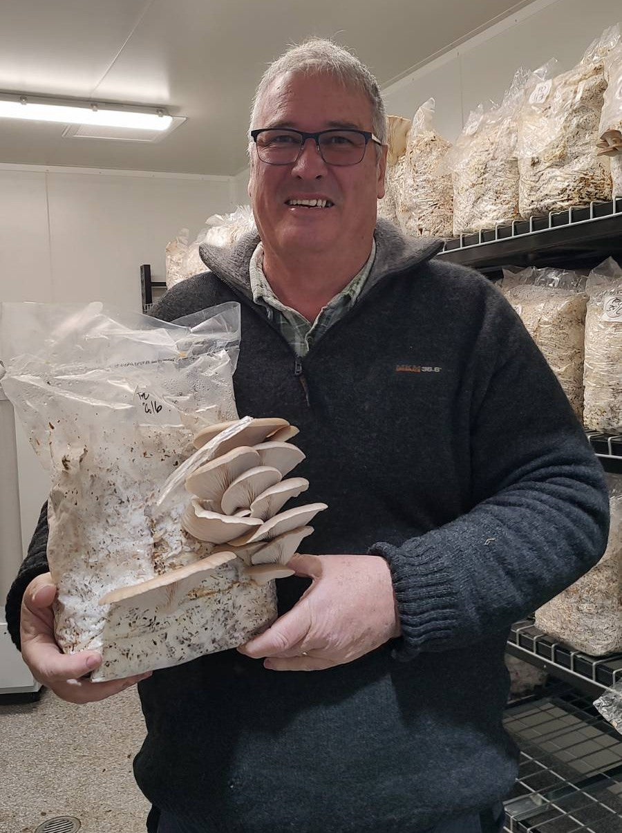 Local Spray-Free Oyster Mushrooms