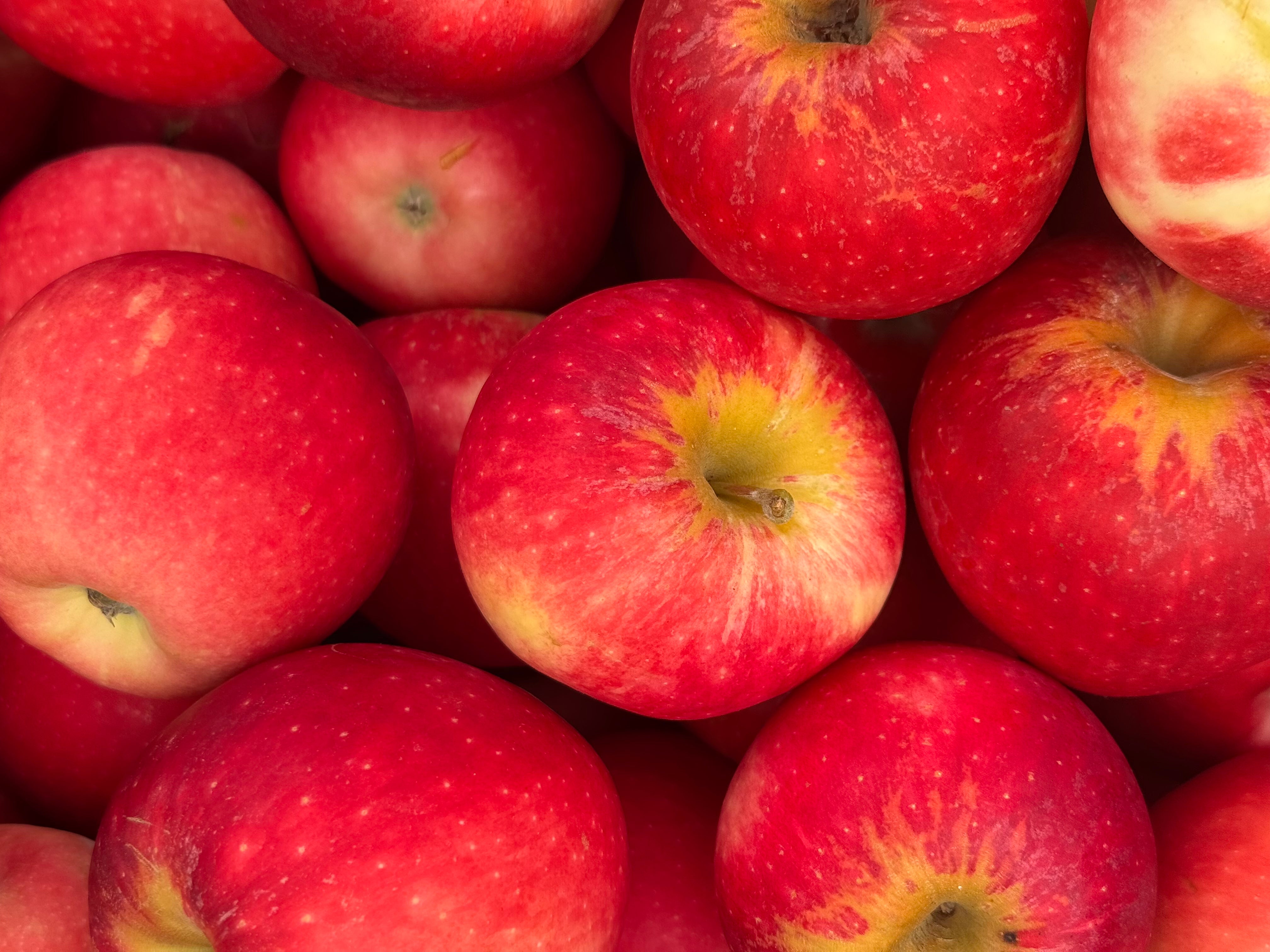 Hastings Organic Apples - Prima Rosa