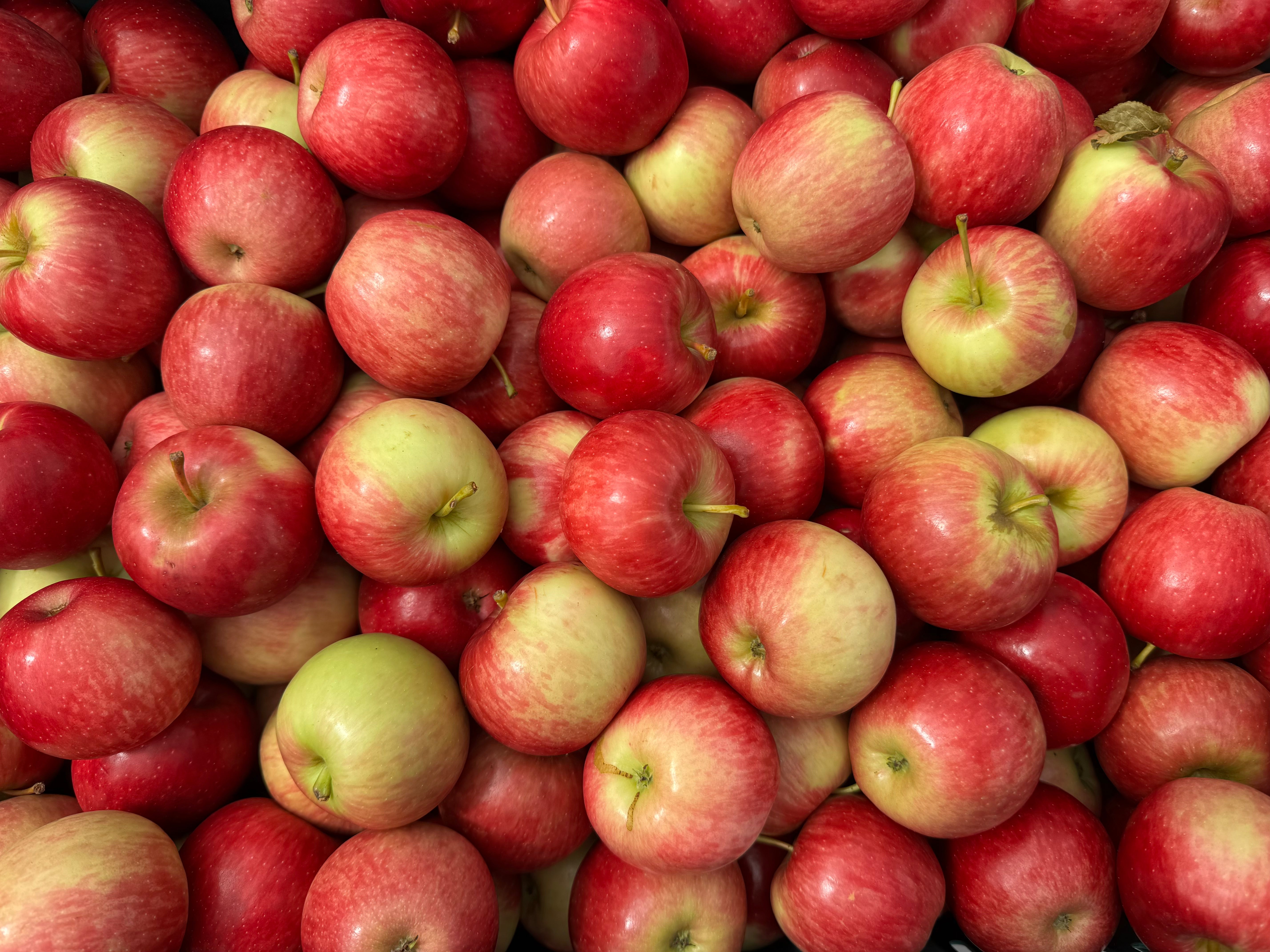 Te Mata Orchards Organic Apples - Saturn SMALL LUNCHBOX APPLES