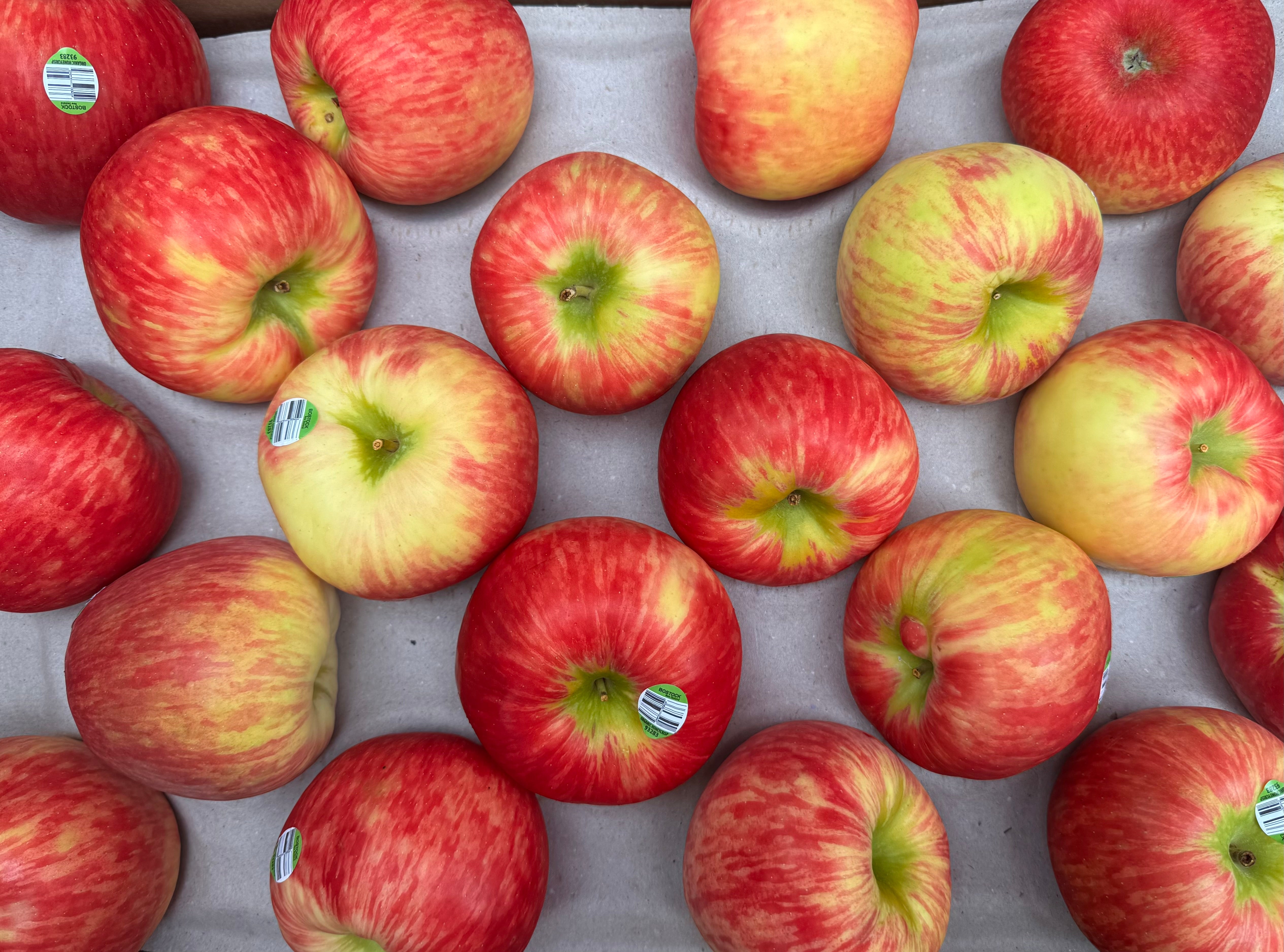 Hawke's Bay Organic Apples - Honey Crisp JUMBO