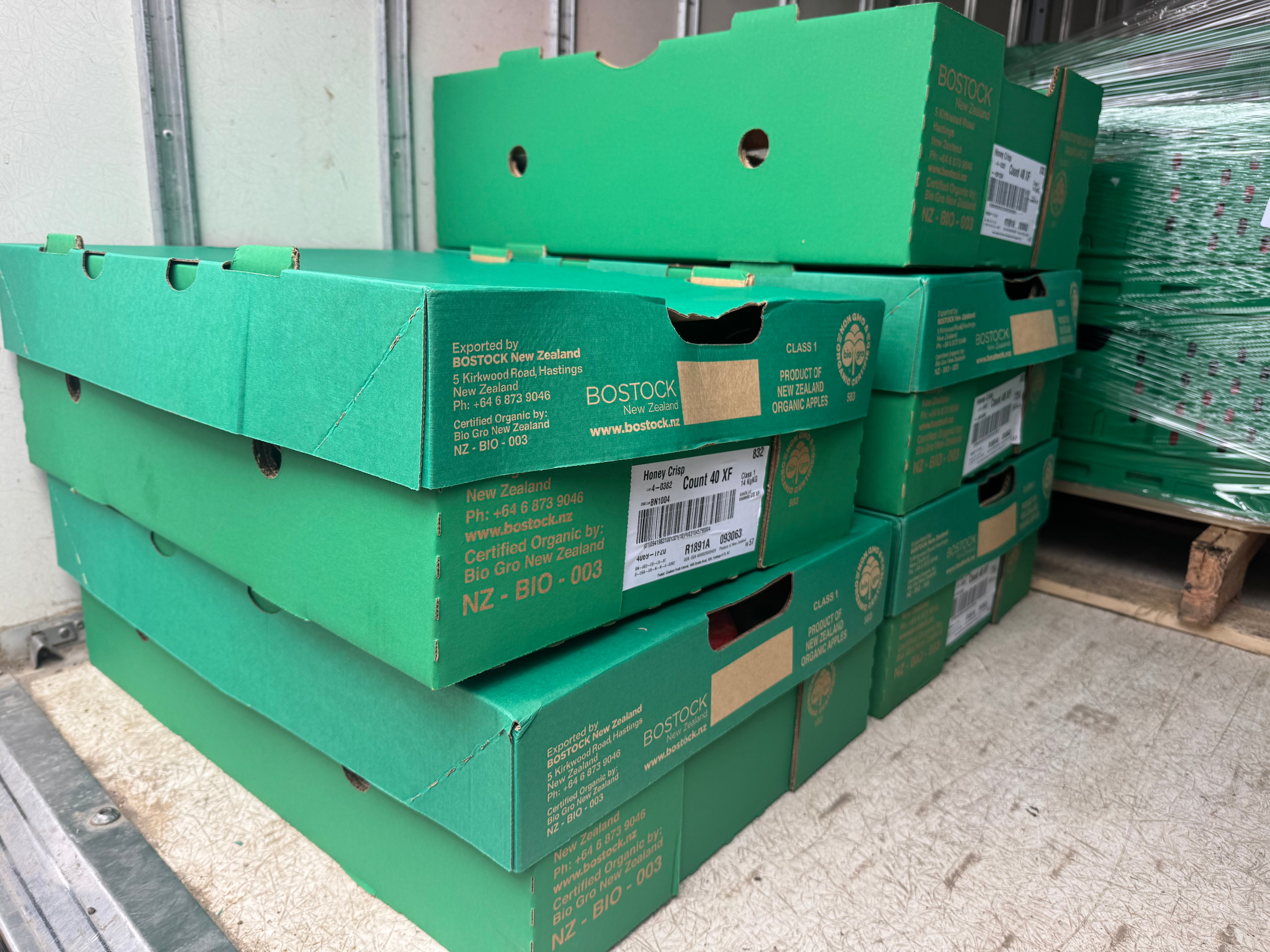 Hawke's Bay Organic Apples - Honey Crisp JUMBO