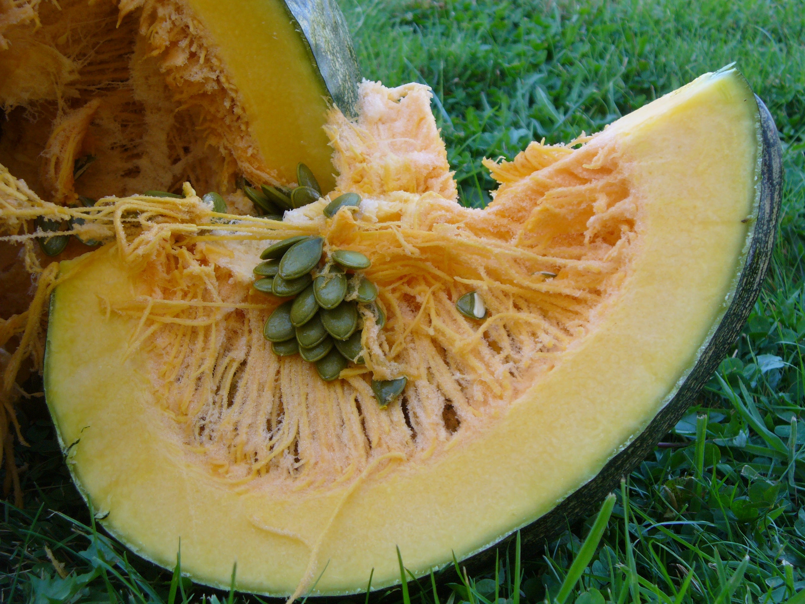 Spray Free Local Pumpkin Seed Oil 250ml