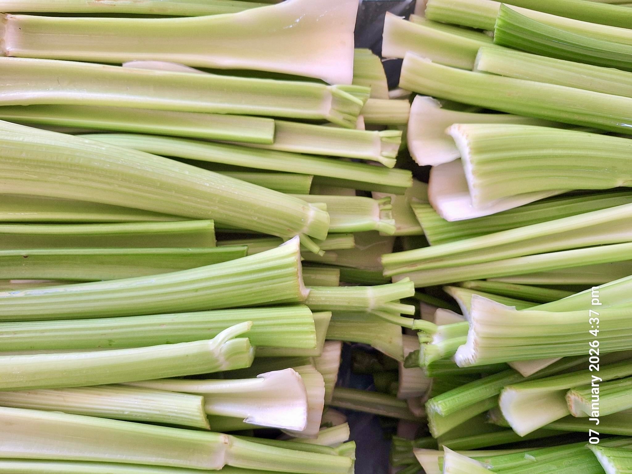 Live2Give Farm Organic Juicing Celery (loose stalks)