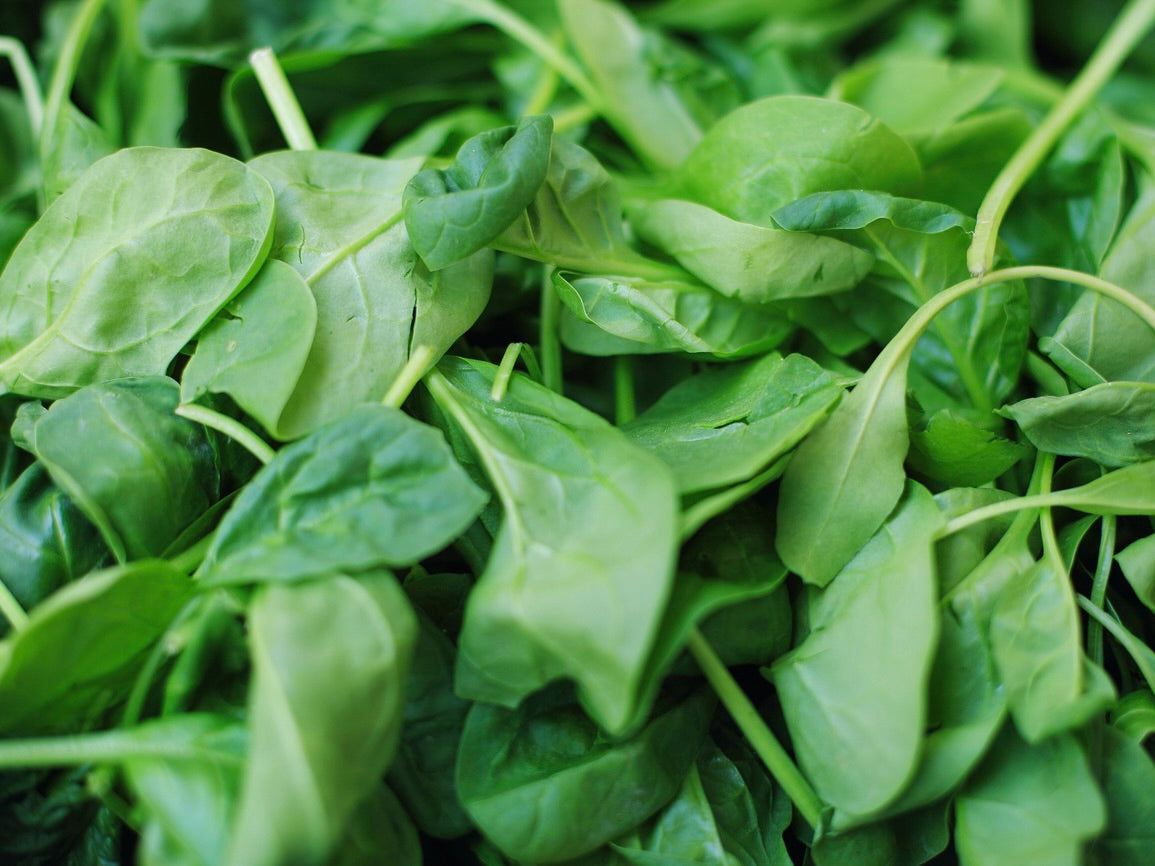 Streamside Organic Baby Spinach