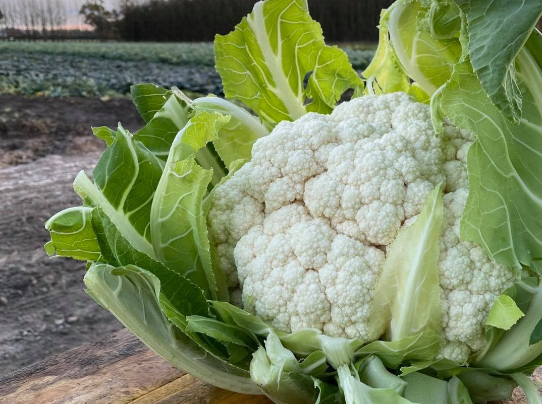Streamside Organic Cauliflower