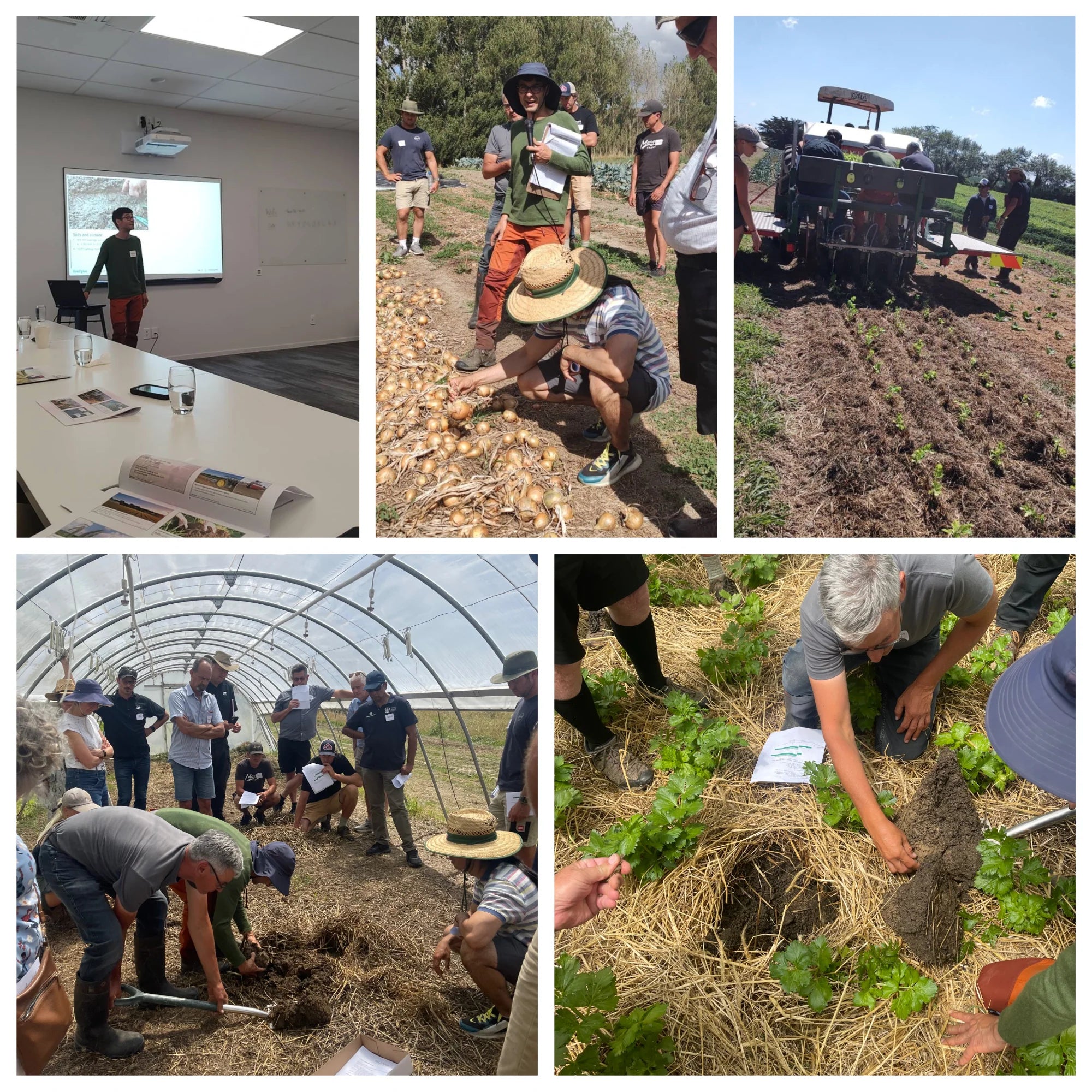 Mulch Direct Growing in Commercial Vegetable Production - 2nd Annual Field Day here @ Live2Give Farm