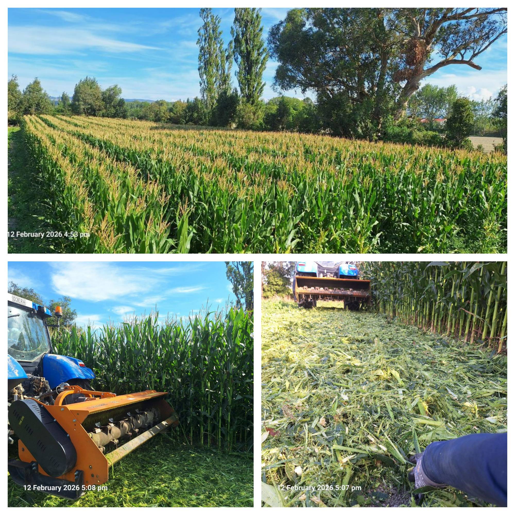 Preparing for Celery
