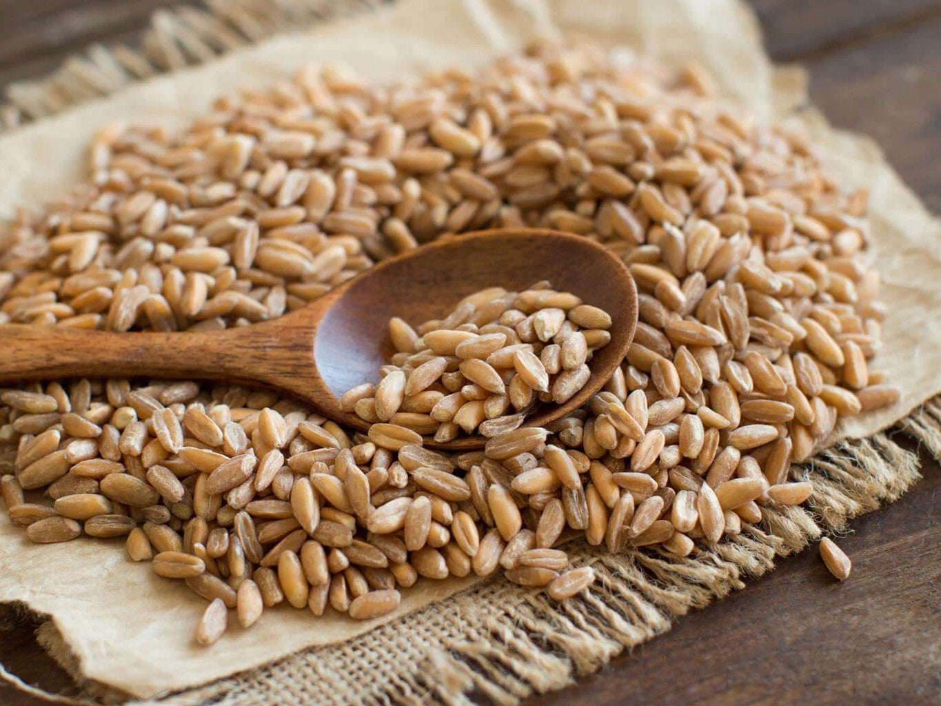 Whole Grain - What is it?