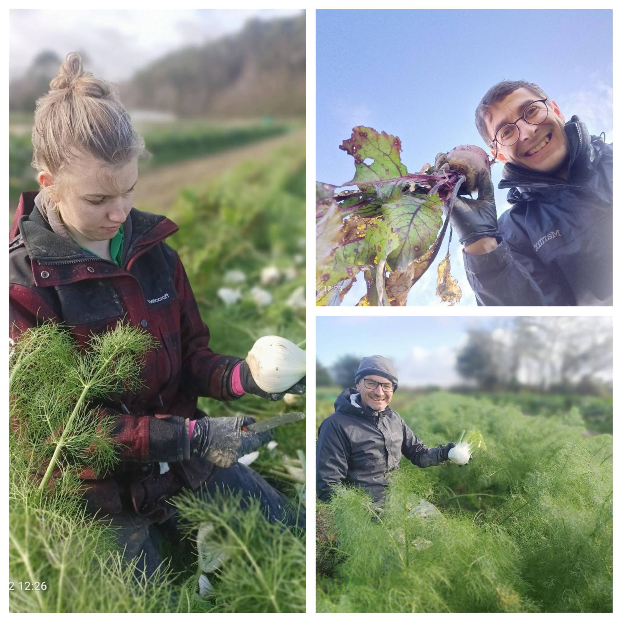 Our live2give Farm Winter Veg 🤩