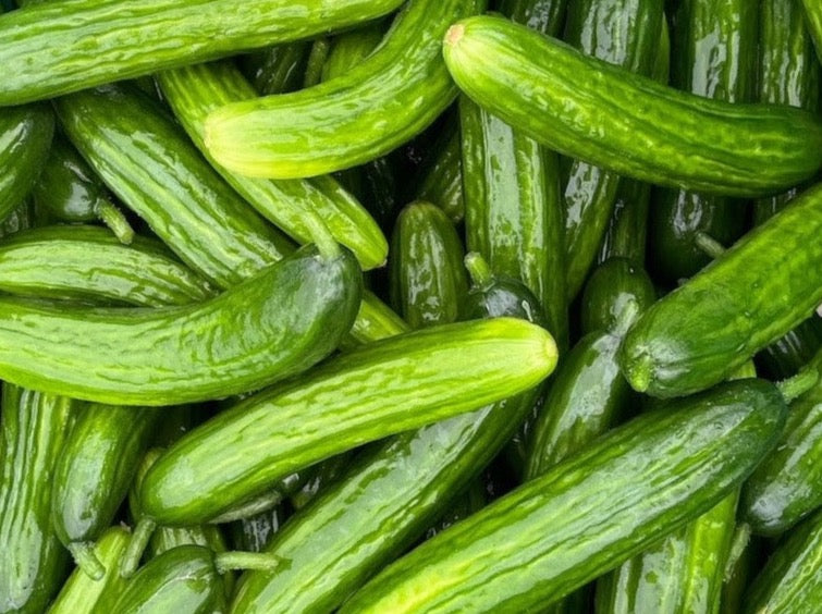 Crooked Vege Organic Lebanese Cucumber MED/LARGE