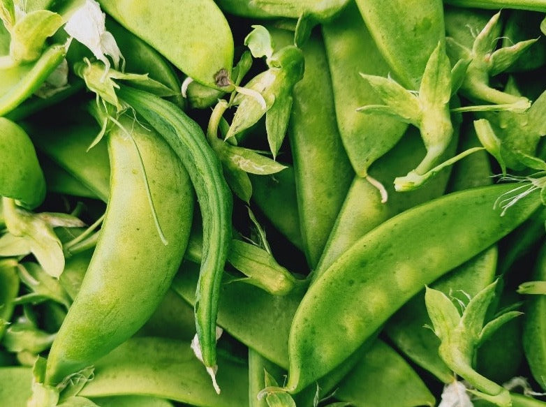 Peter's Organic Snow Peas - 100g punnet