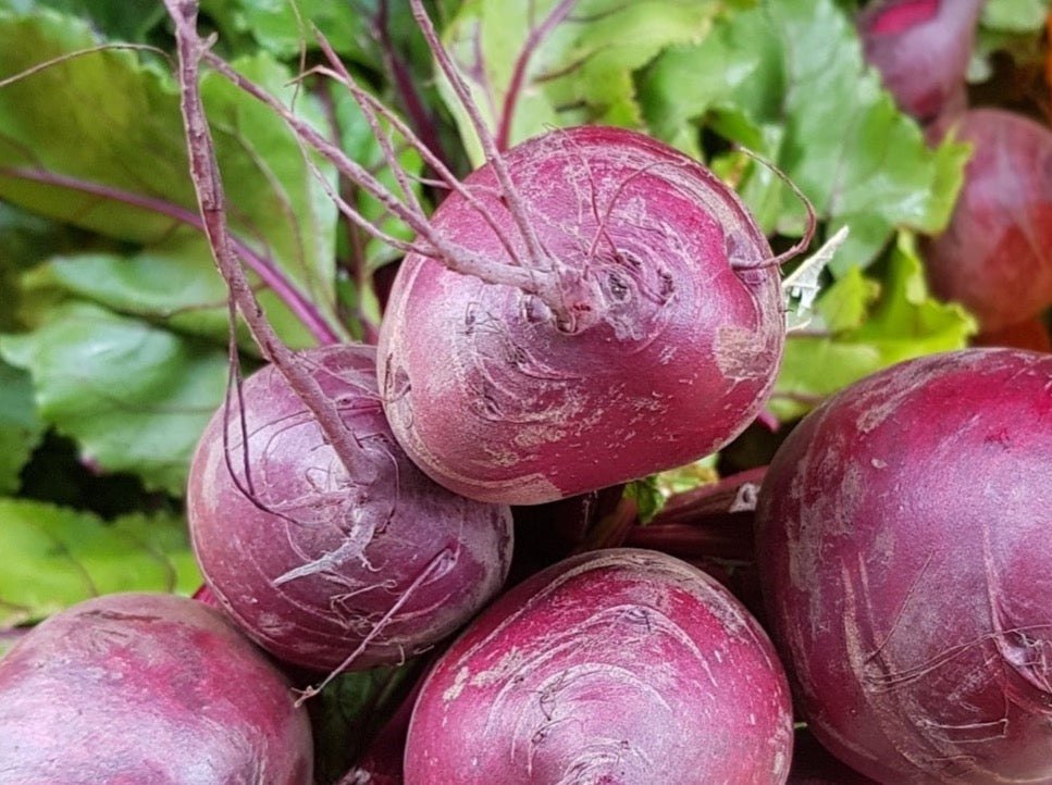 Streamside Organics' Organic Beetroot - Bunched with Leaves