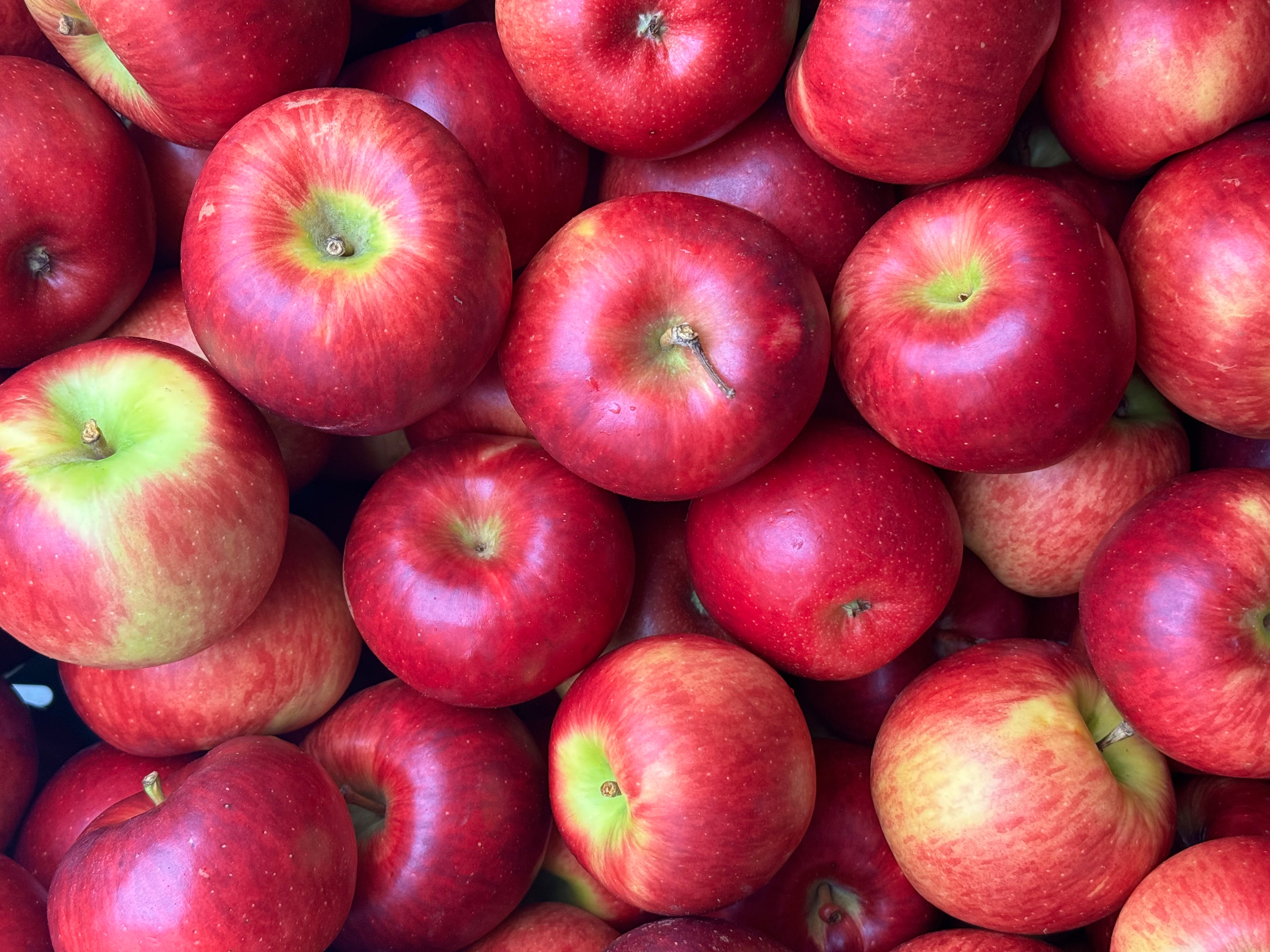 Te Mata Orchards Organic Apples - Ora FREEZE-DRIED 30g