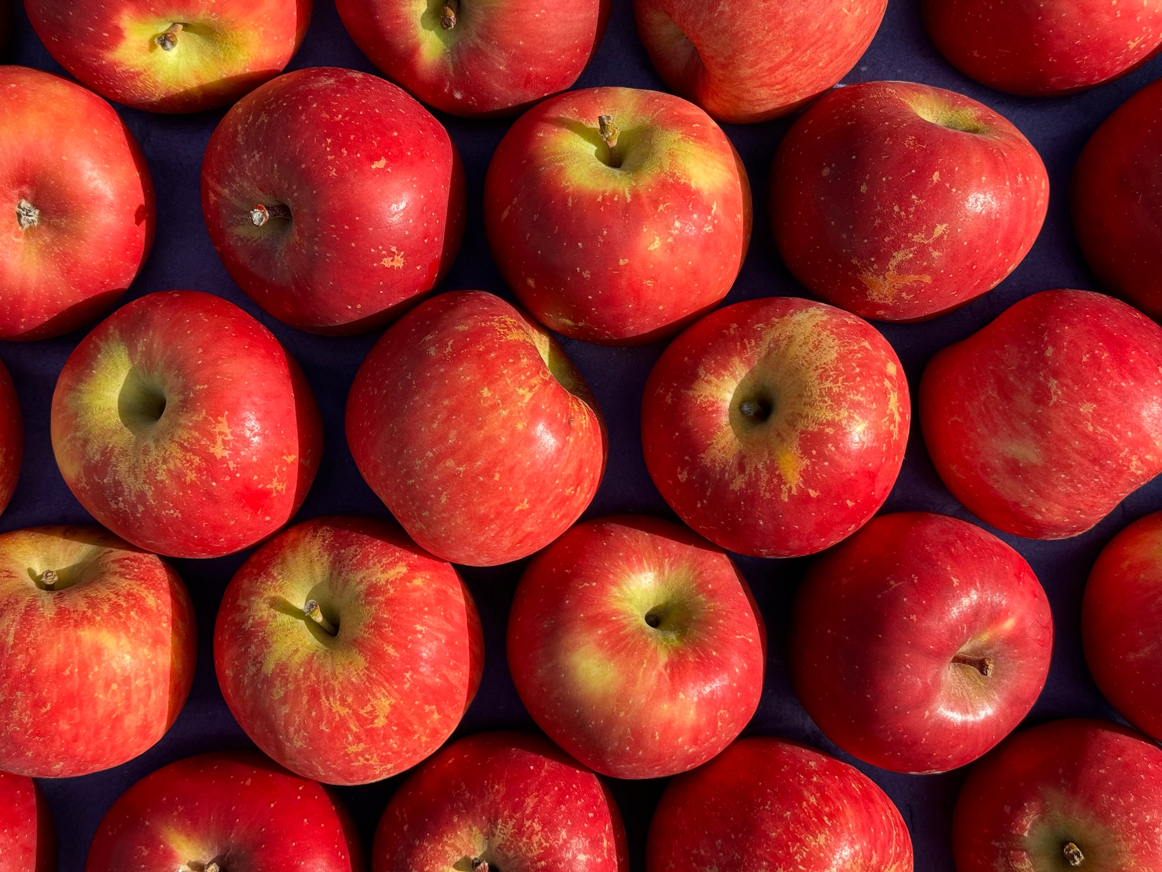 Te Mata Organic Apples - Fuji