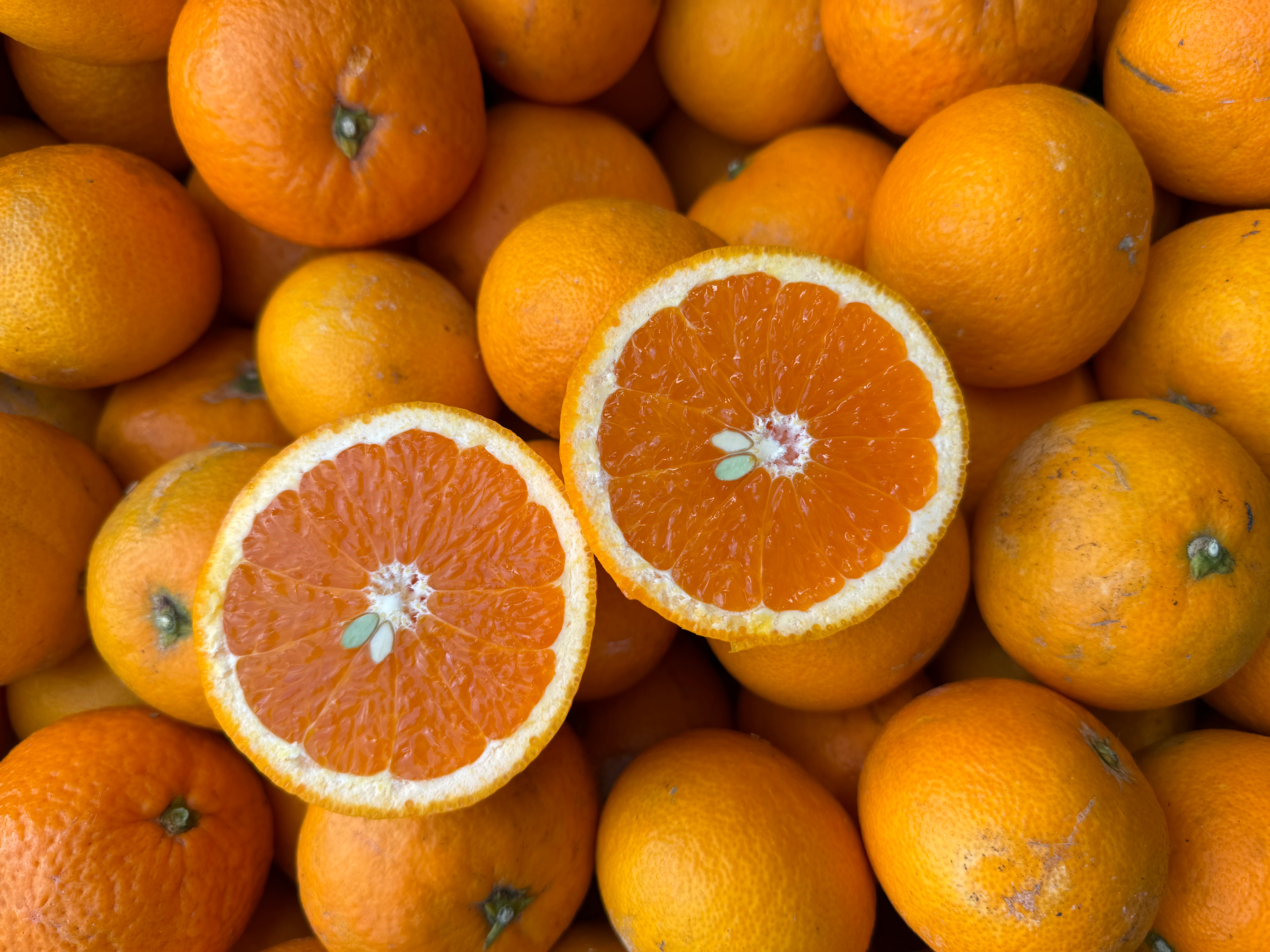 Katikati Spray Free (not organic) Kiyomi Oranges