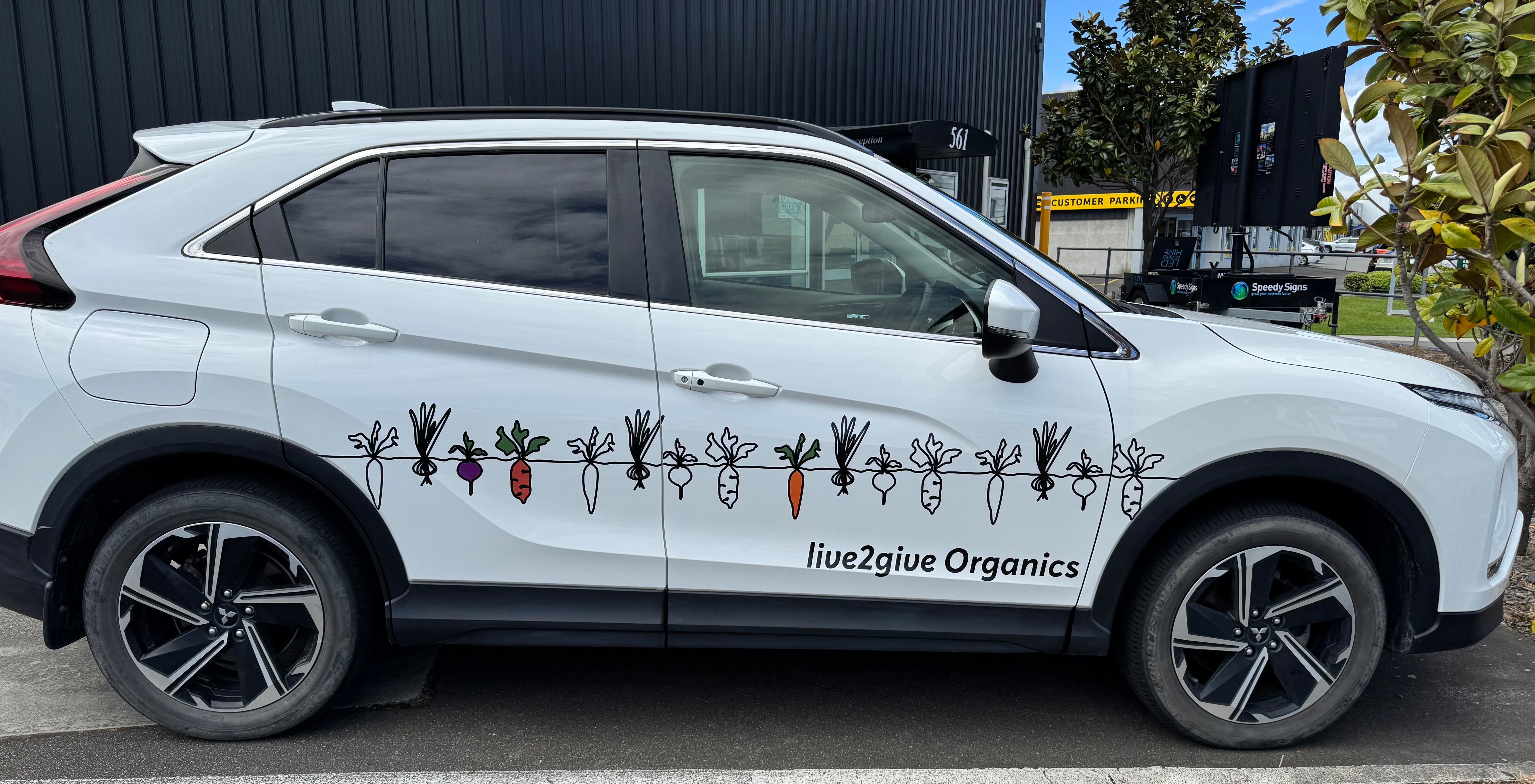 Pickup from 15 Cyprus Place