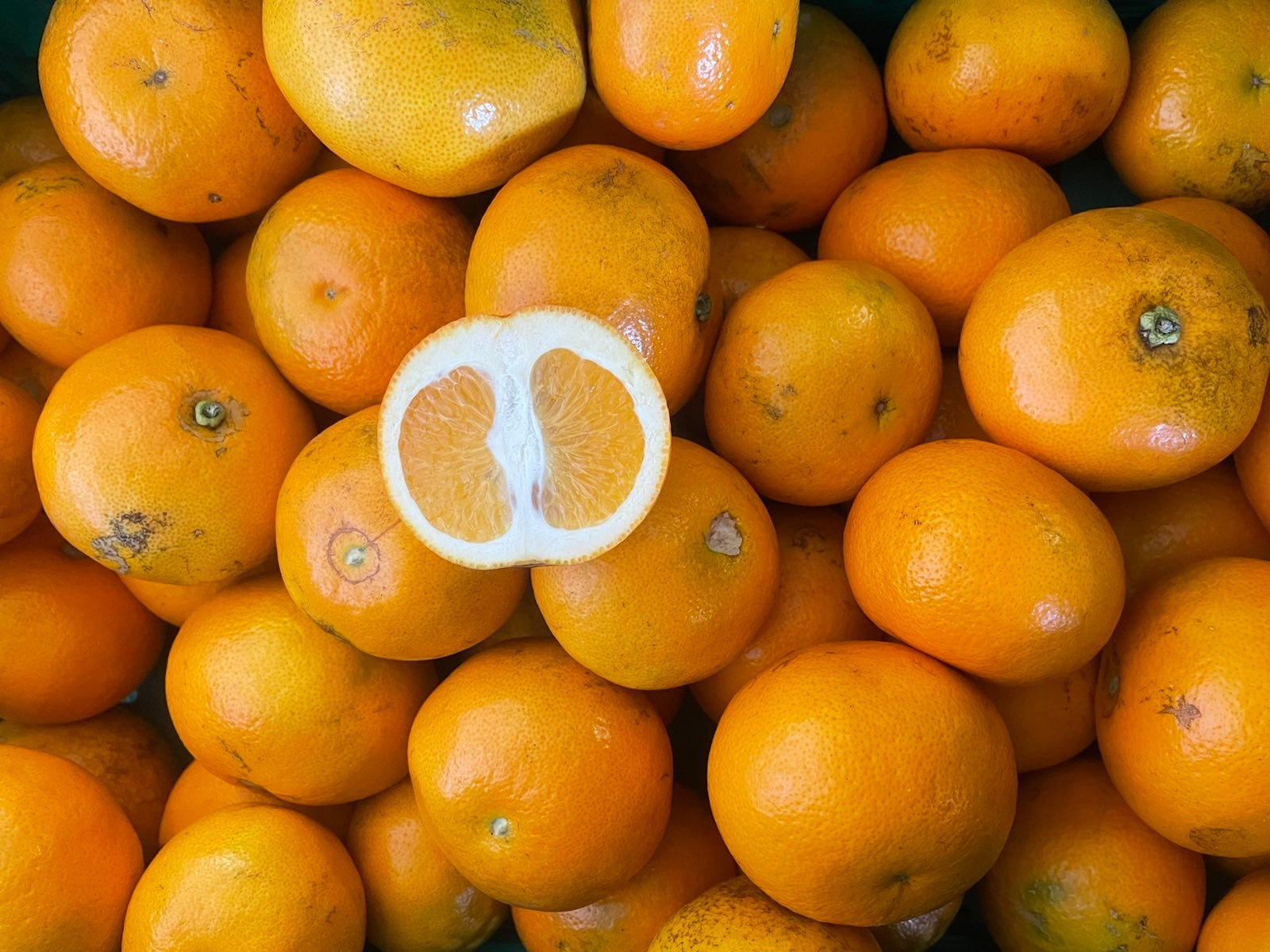 Palmy Organic Grapefruit