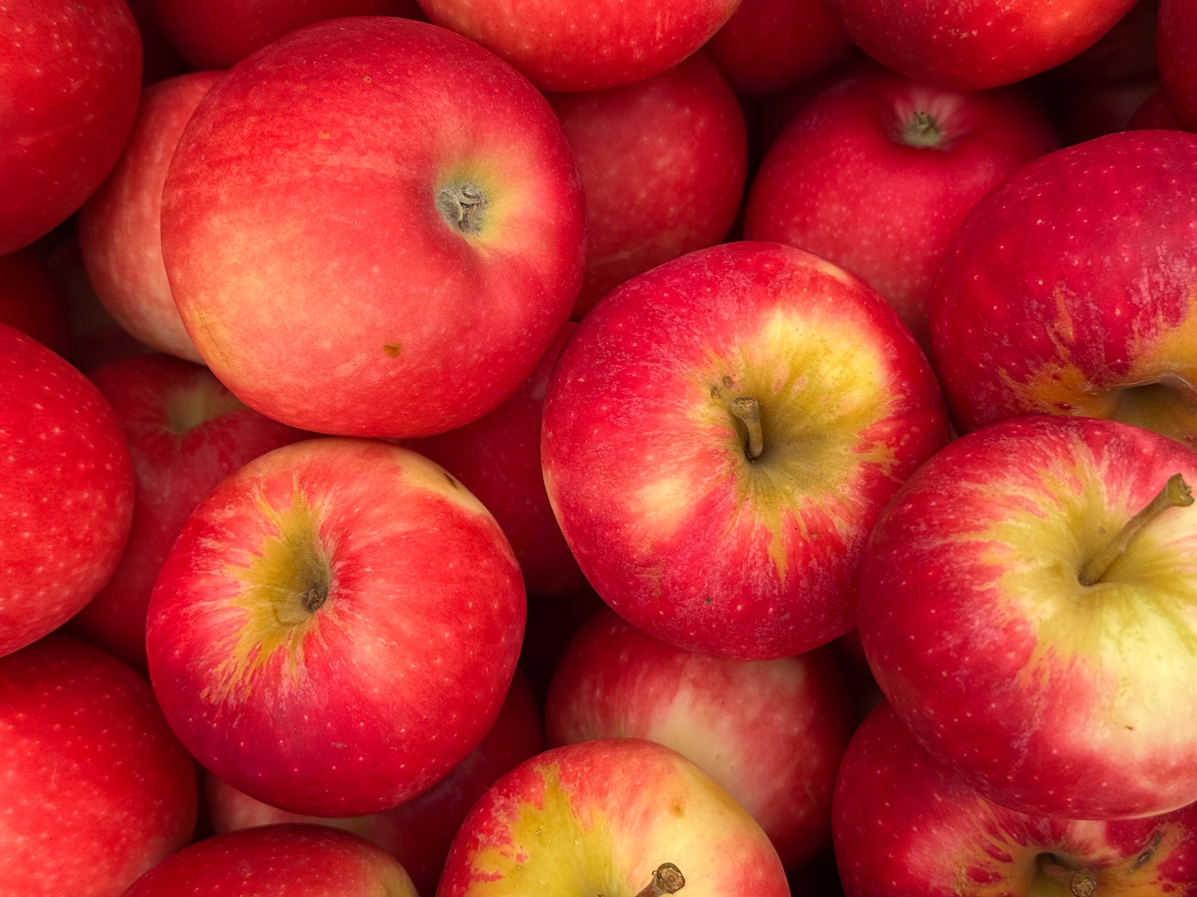 Hastings Organic Apples - Prima Rosa