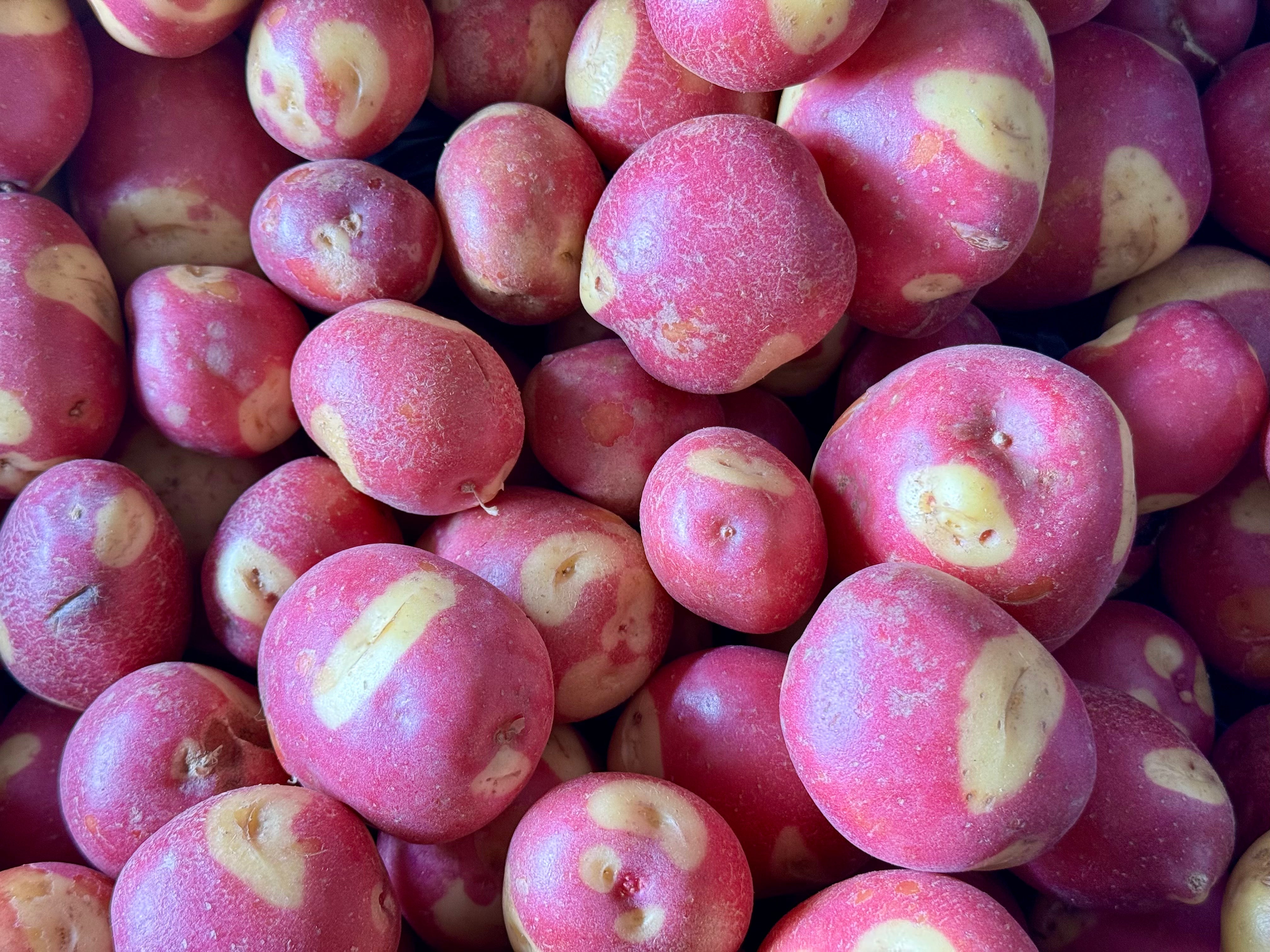 Streamside Organics' Organic Potatoes - Apache