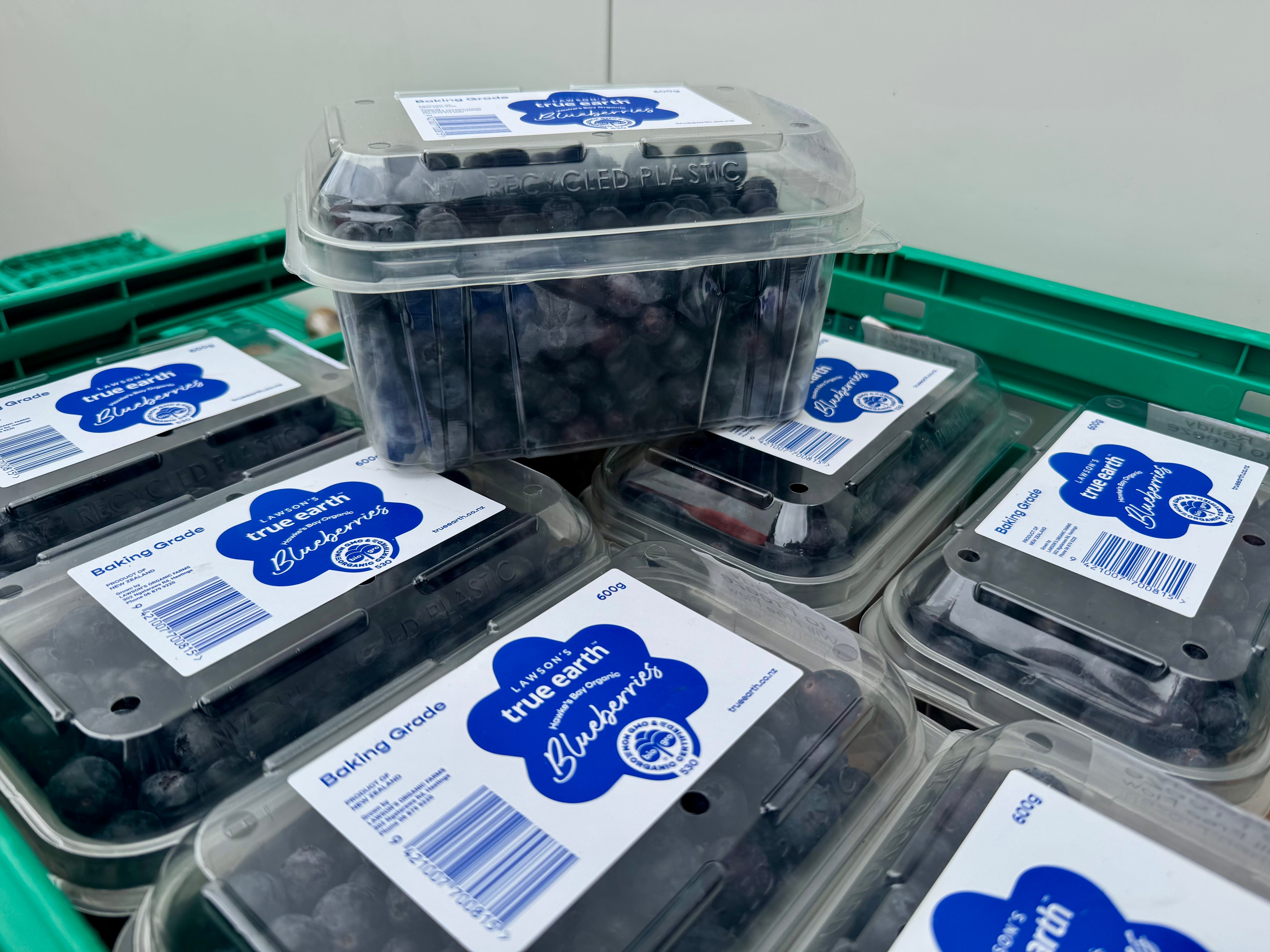 Lawson's True Earth Hawke's Bay Organic Blueberries - 600 g Jumbo Punnet