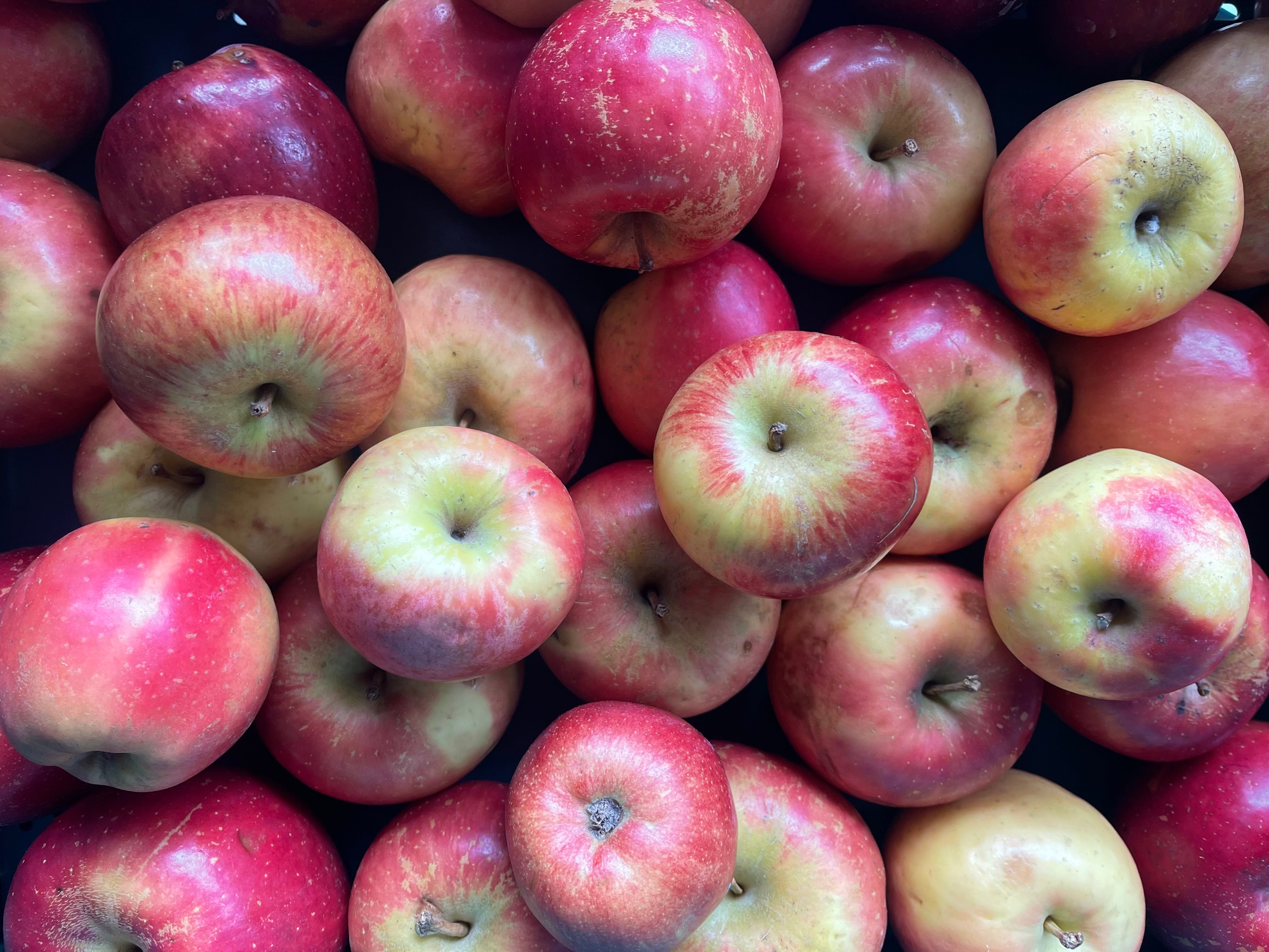NZ Organic Cooking Apples - Mixed Varieties 1 kg
