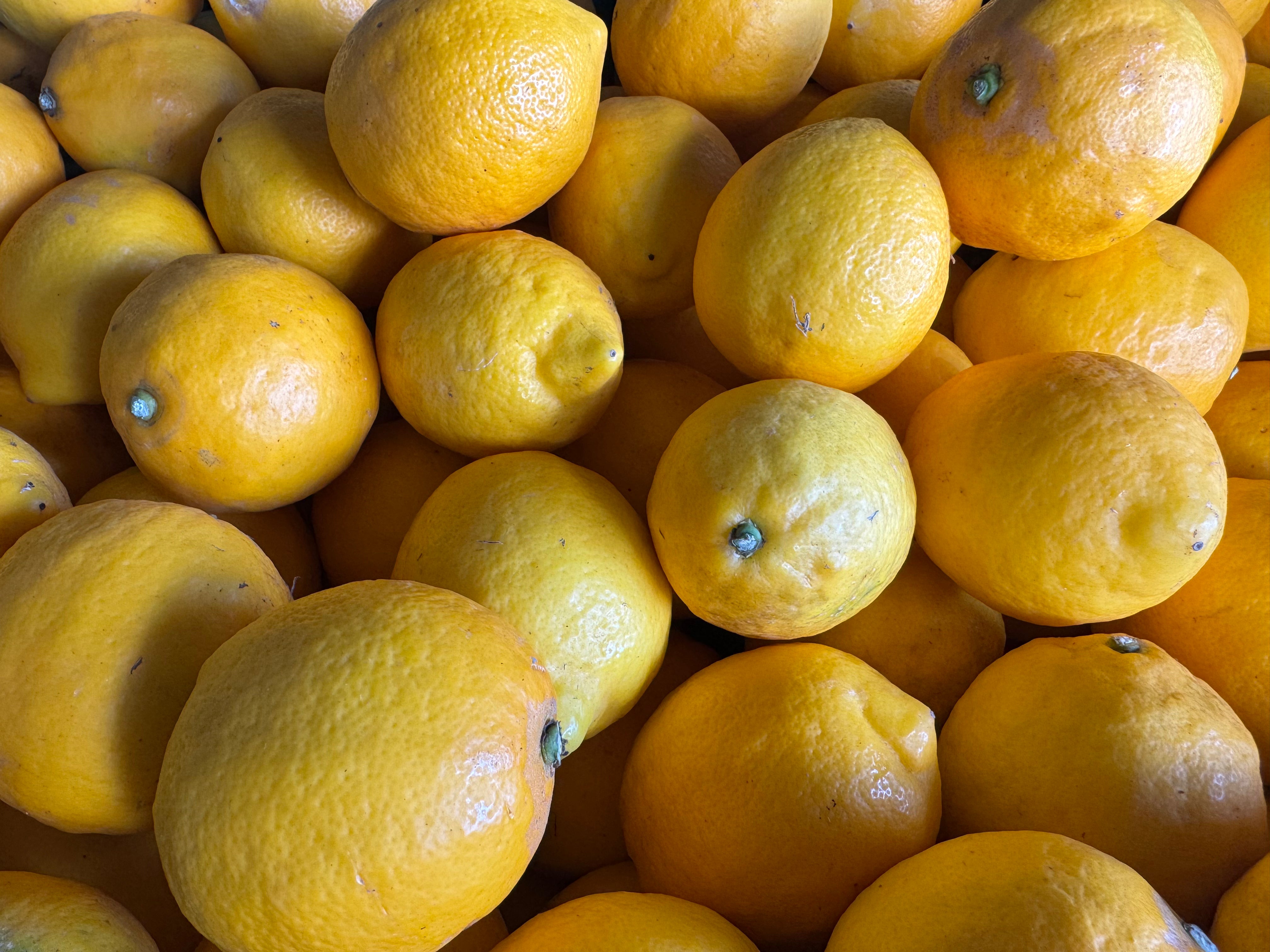 Local Spray-Free Meyer Lemons