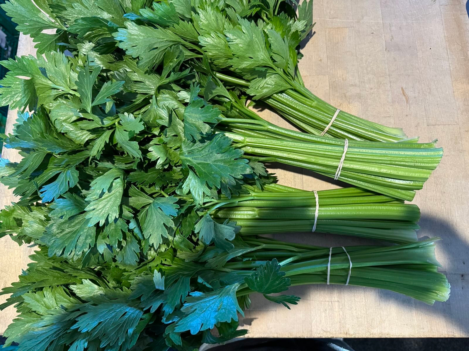 Crooked Vege Organic Celery Stalks - Bunched