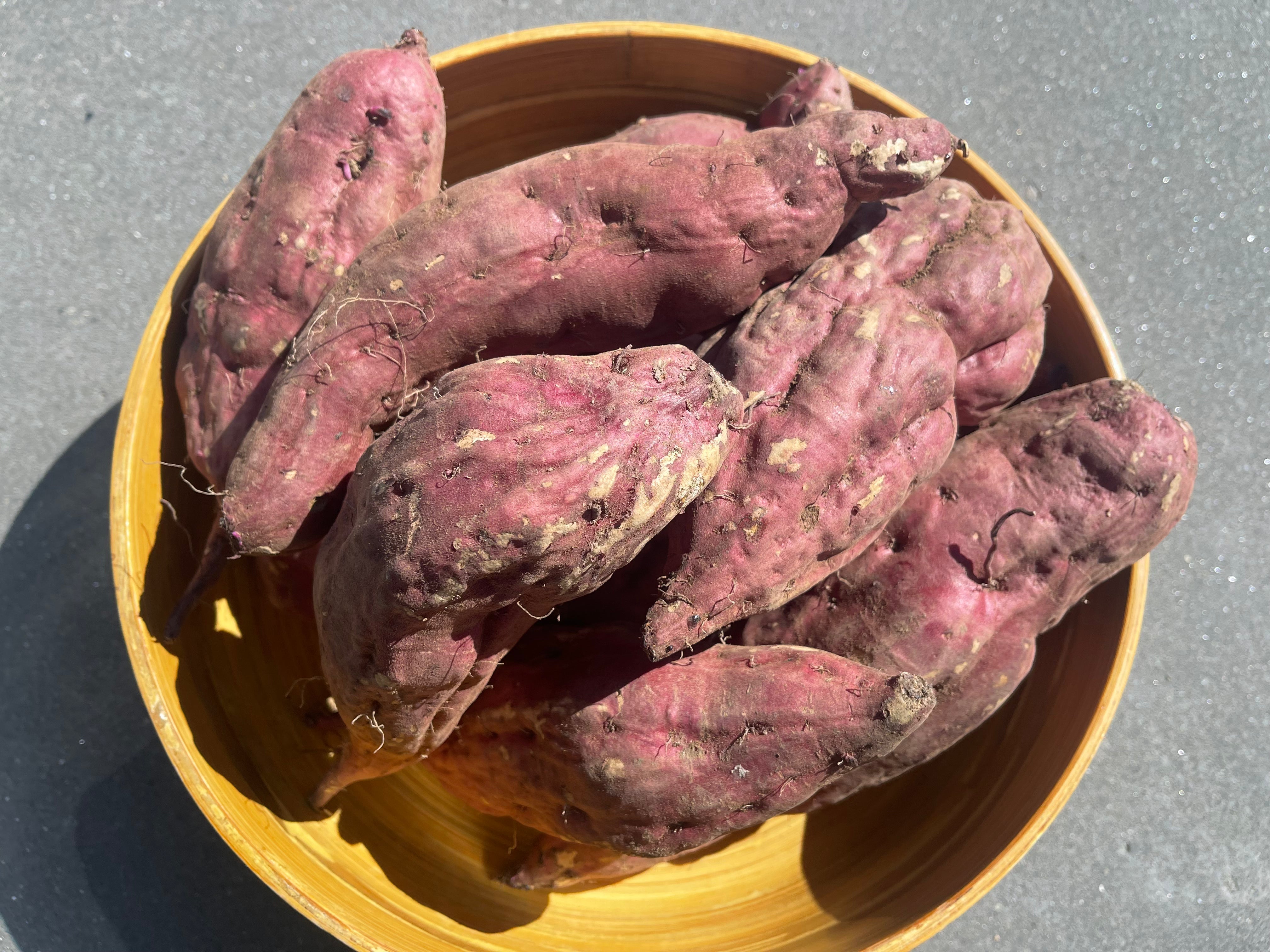 Dargaville Organic Kumara - Red