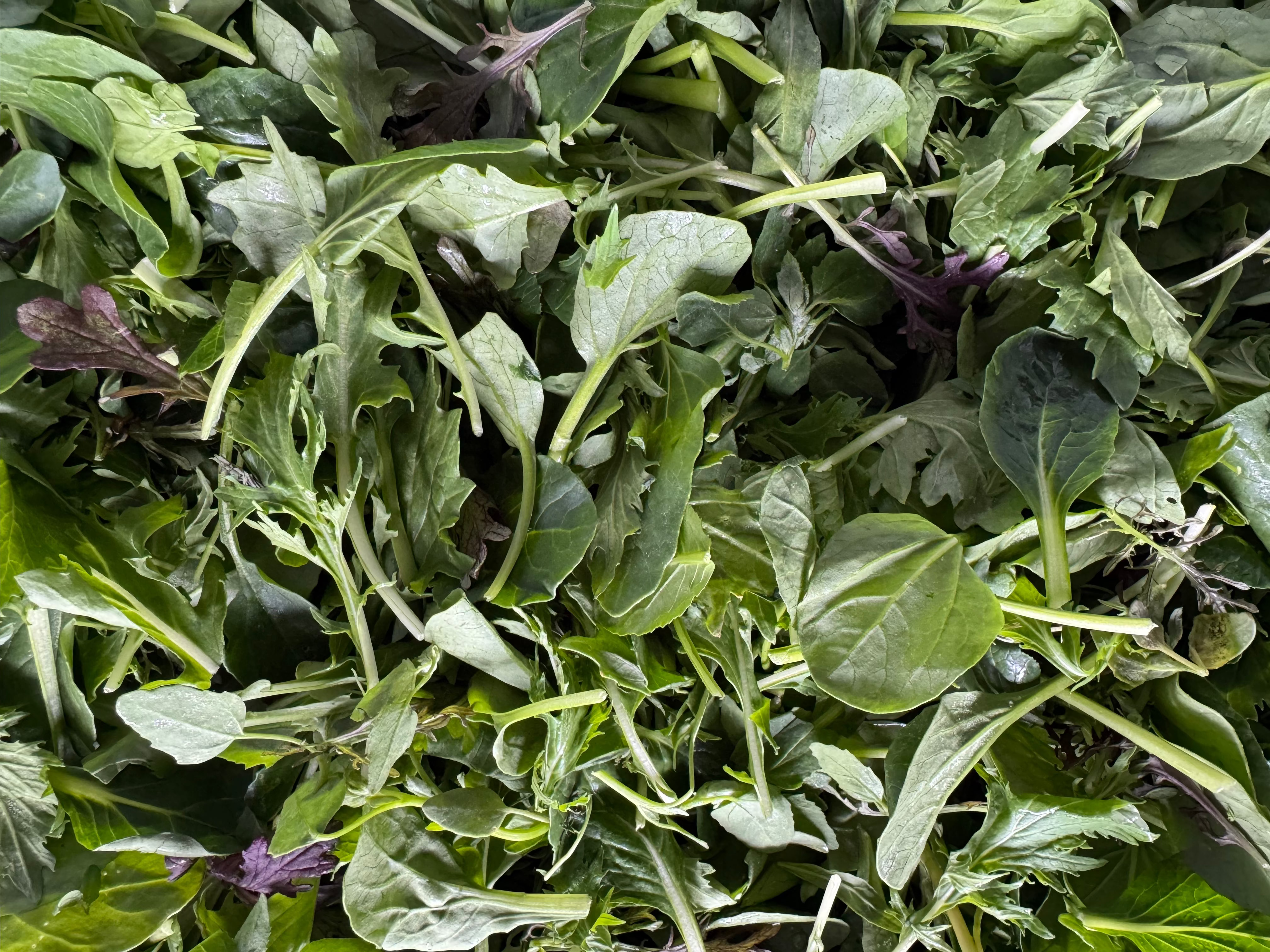 Streamside Organic Mesclun Salad Mix