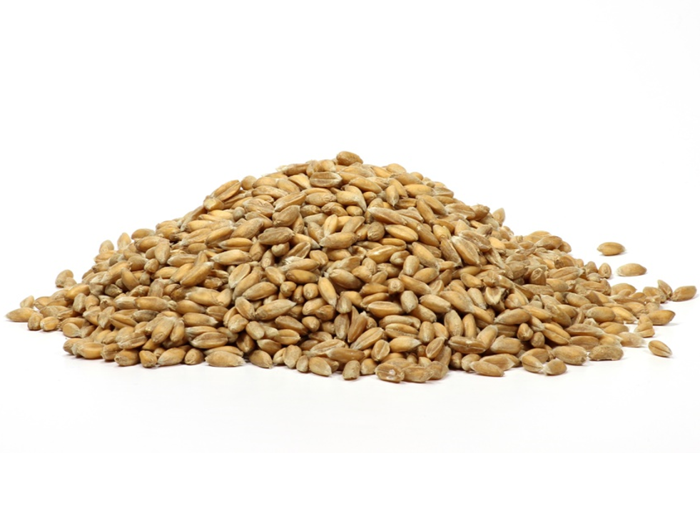 Organic Spelt 1kg