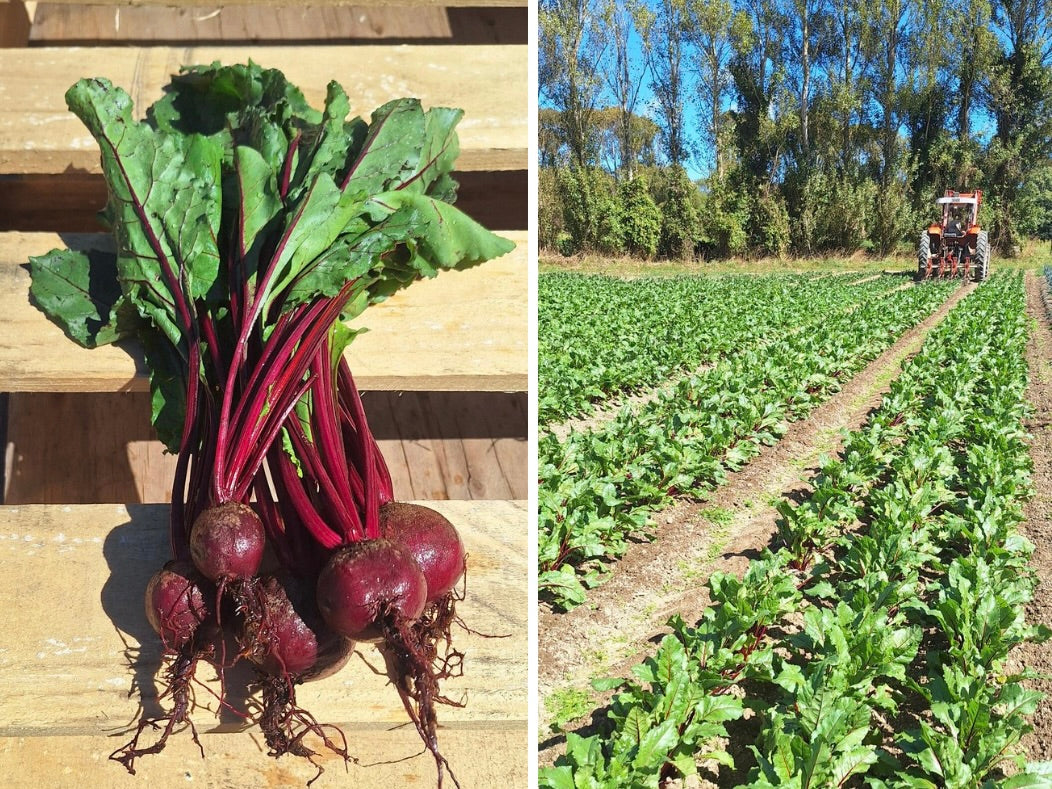 Live2Give Farm Organic Red Baby Beetroot Bunches