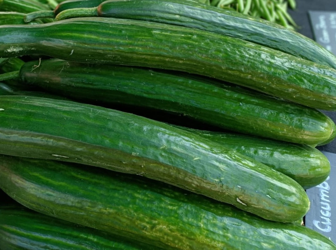 Peter's Organic Telegraph Cucumber - Each