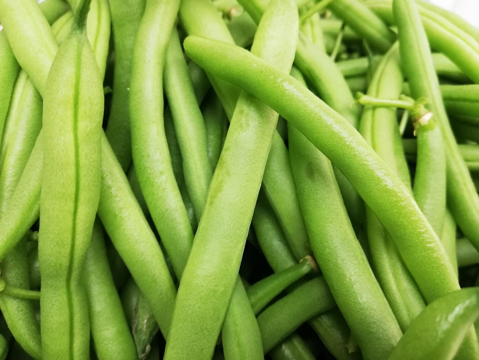 Australian Organic Green Beans