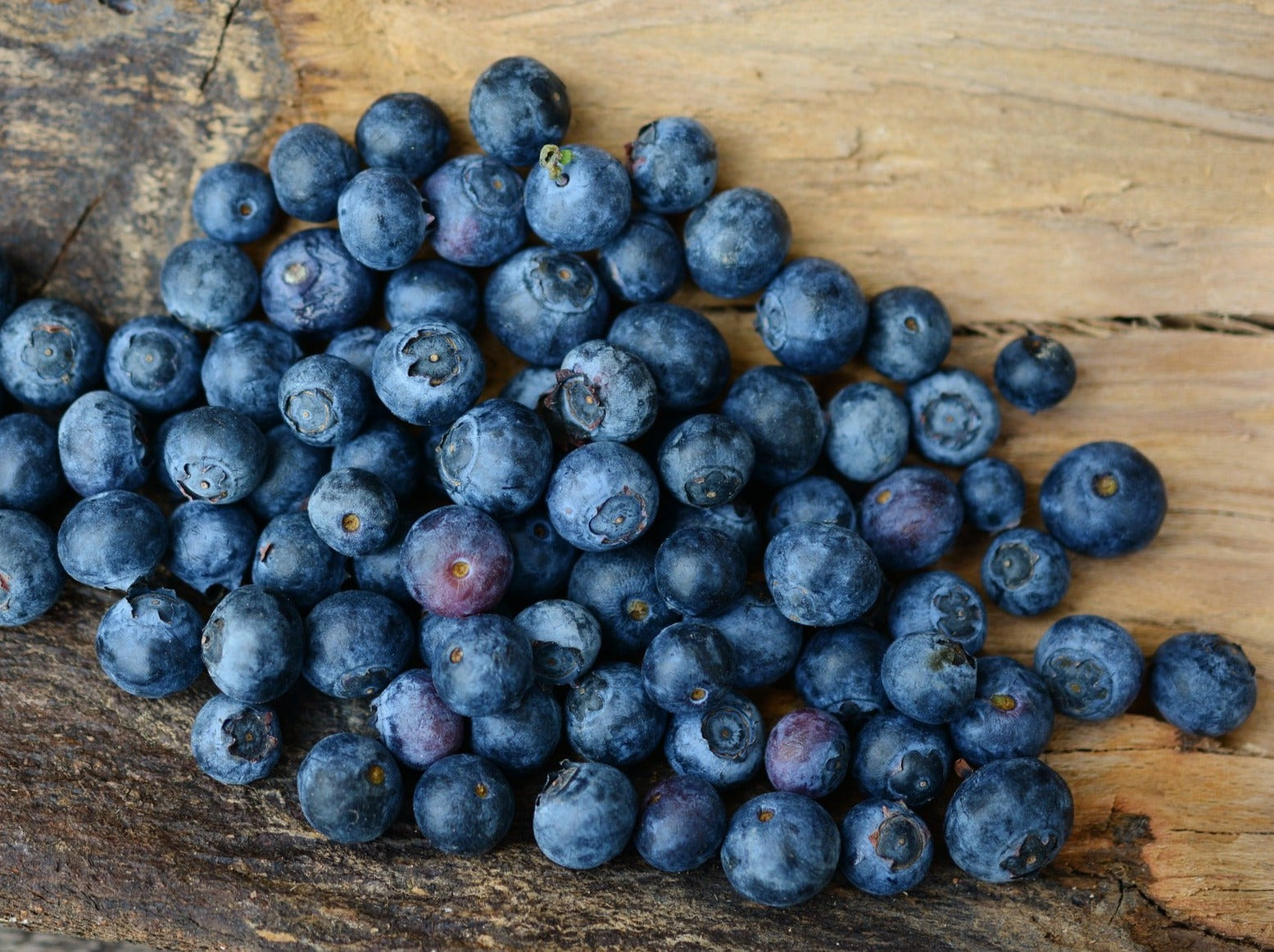 SHARING NZ Organic Blueberries from last week
