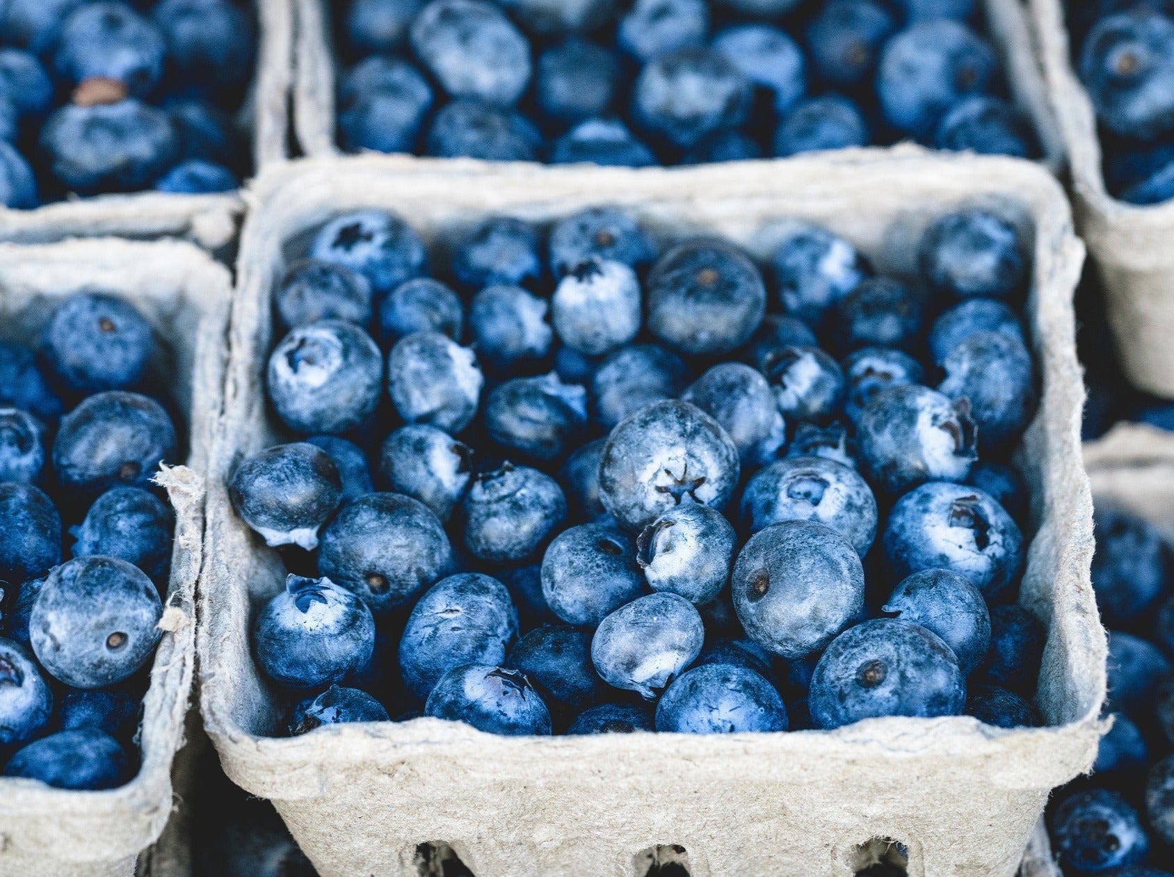 SHARING NZ Organic Blueberries from last week