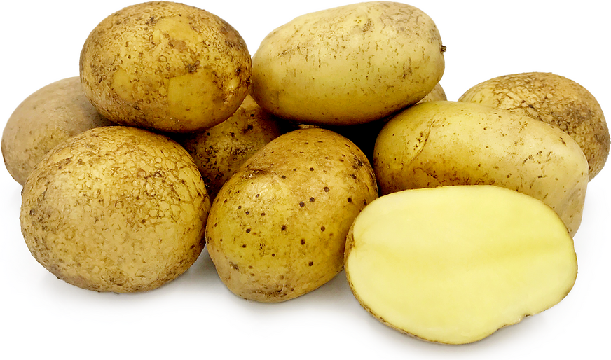 Hastings Organic Potatoes - Agria