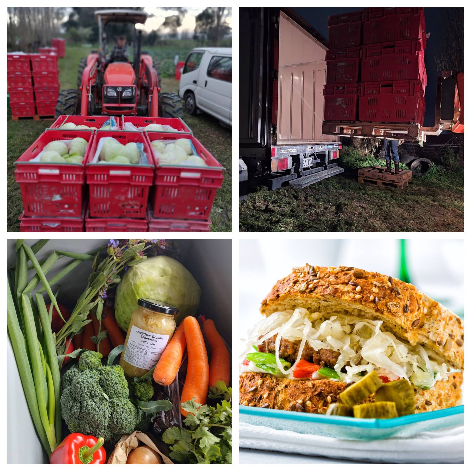 Live2Give Organic Sauerkraut