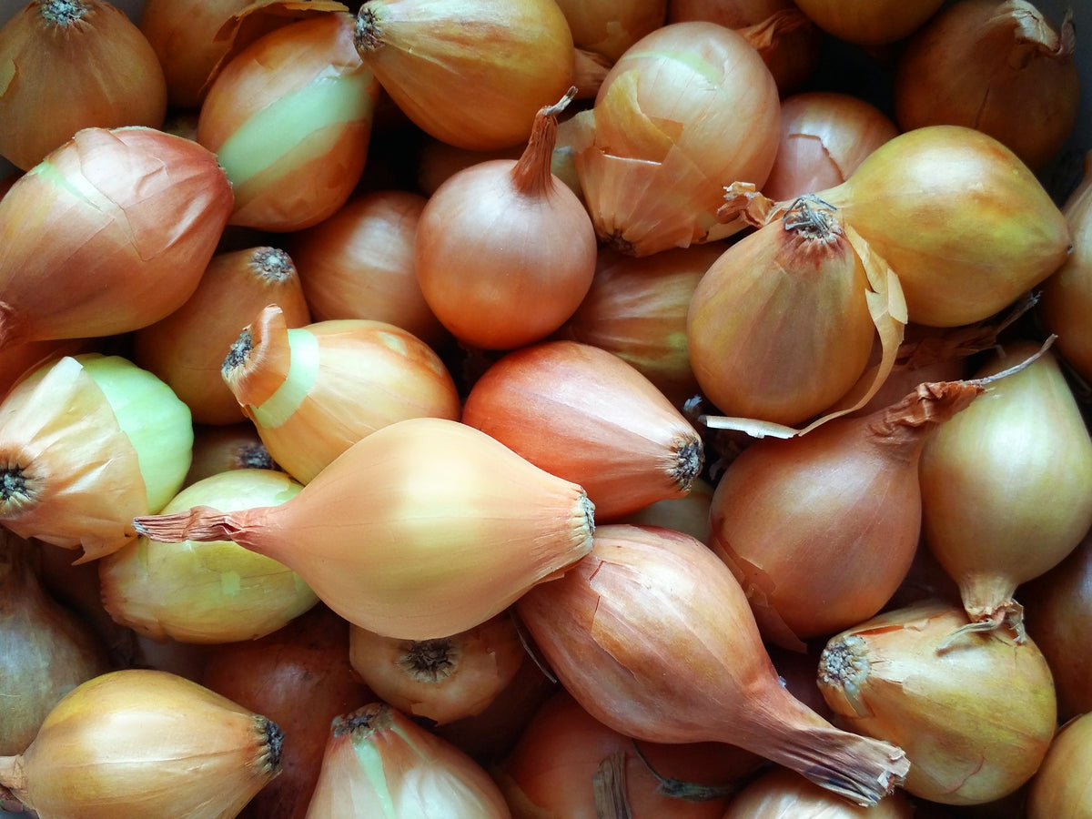 Live2Give Farm Organic Fresh Brown Onions