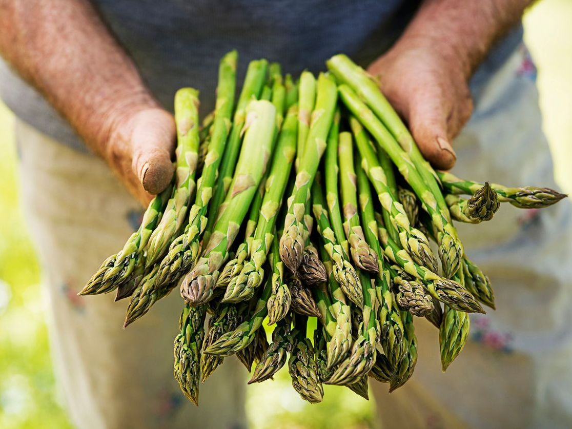 Streamside Organic Asparagus - Medium Stalks