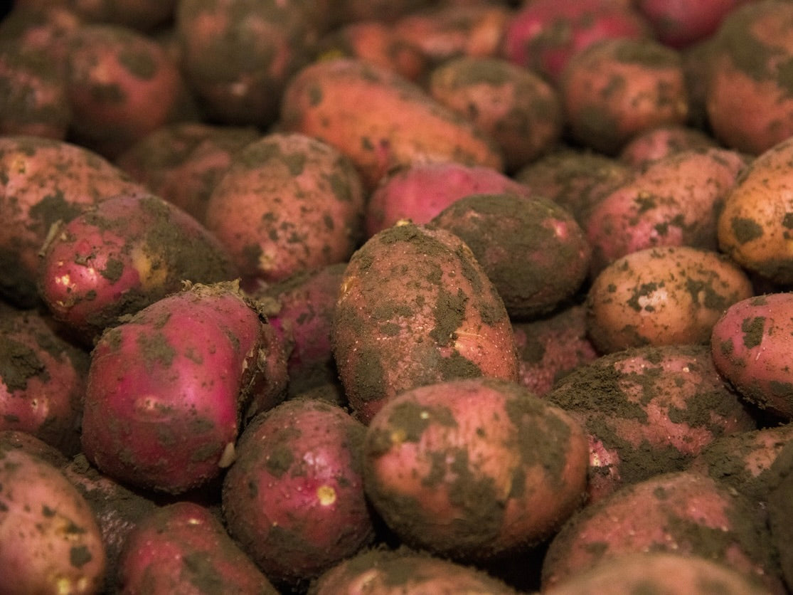 Streamside Organic Potatoes - Red