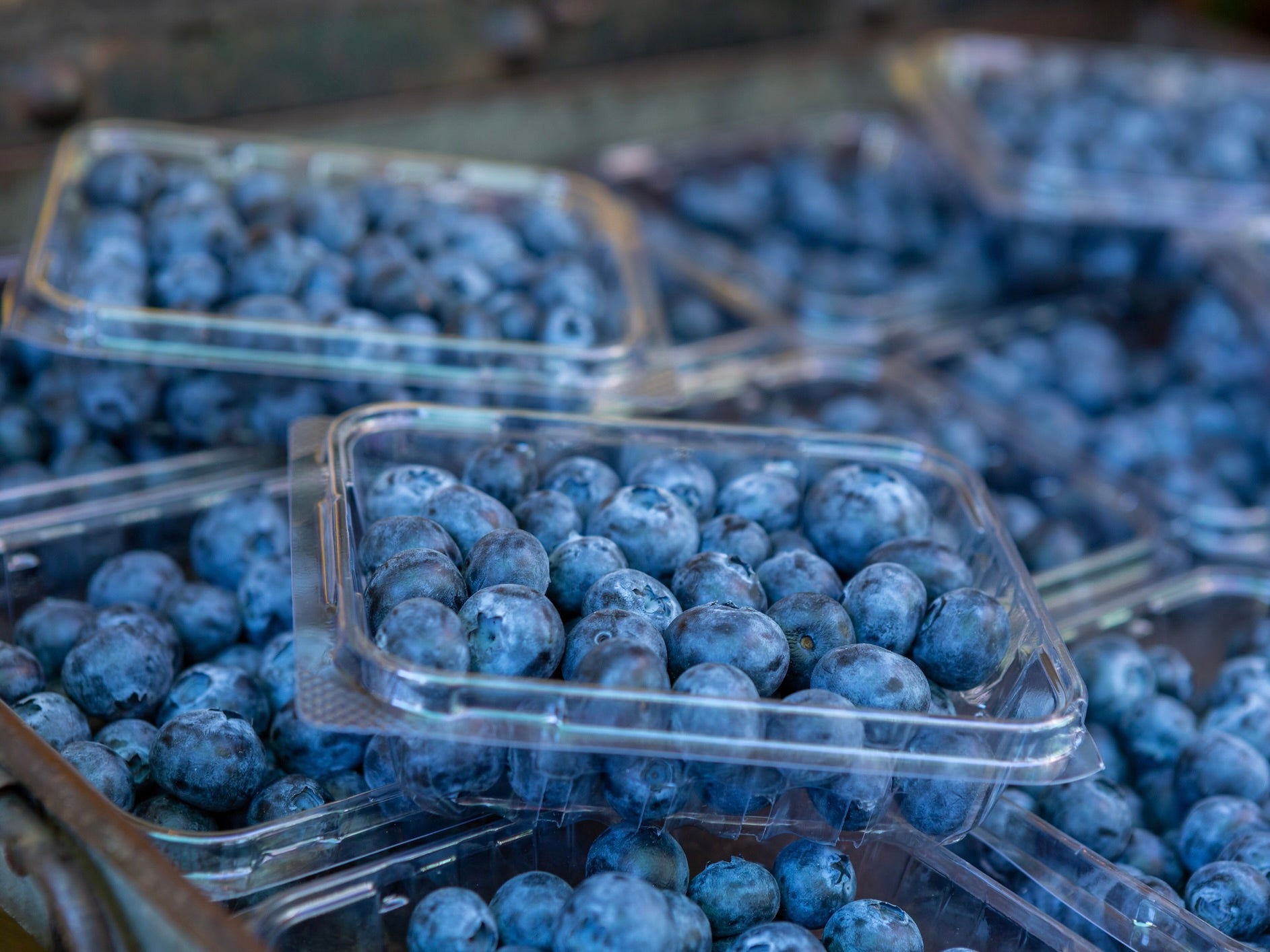 Lawson's True Earth Hawke's Bay Organic Blueberries