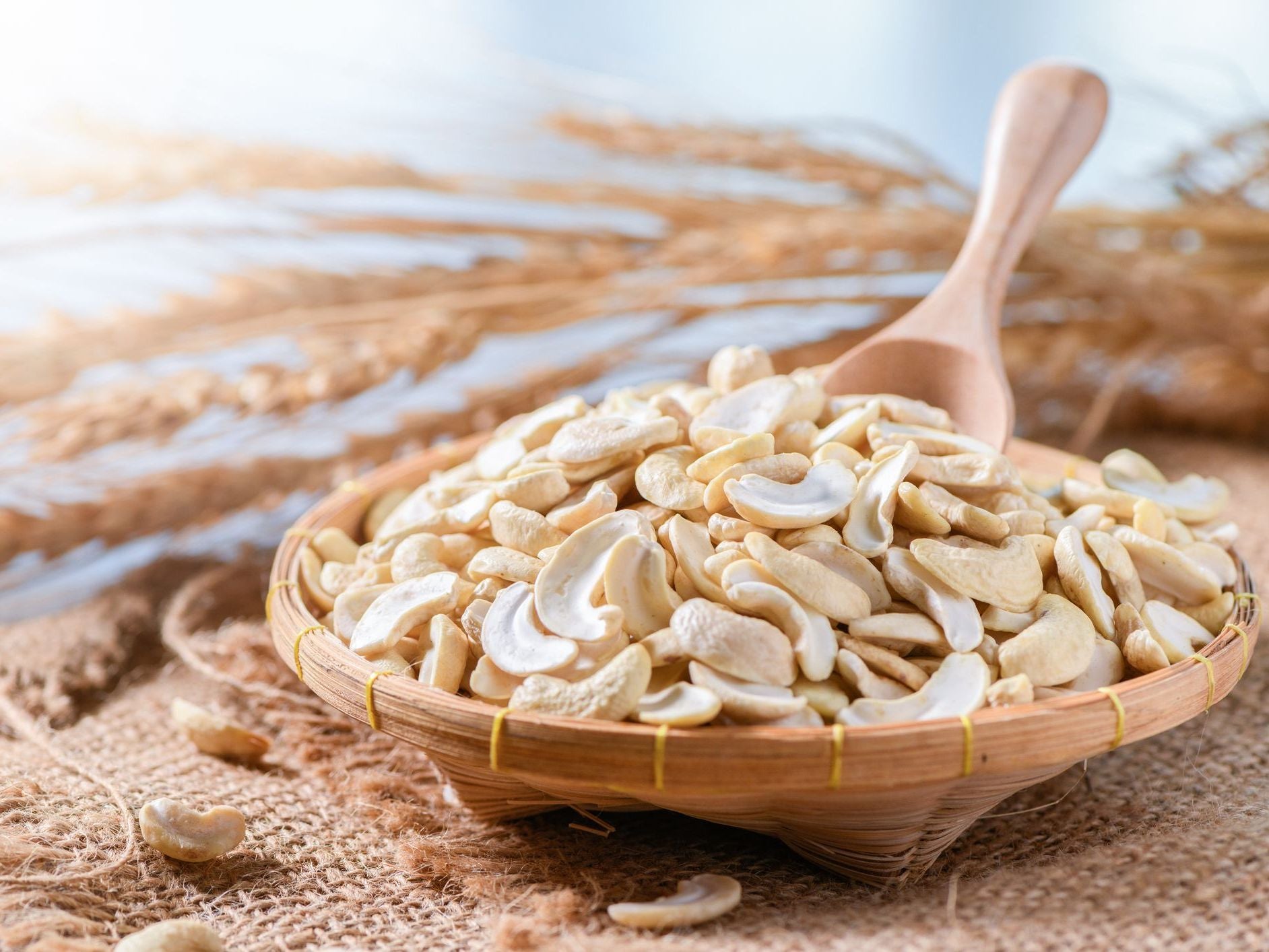 Organic Cashew Nuts - Pieces