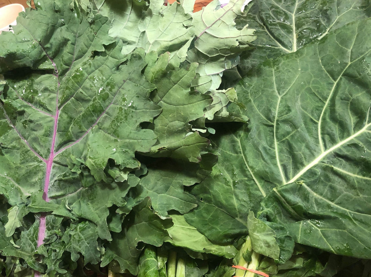 Streamside Organics' Organic Collard Greens