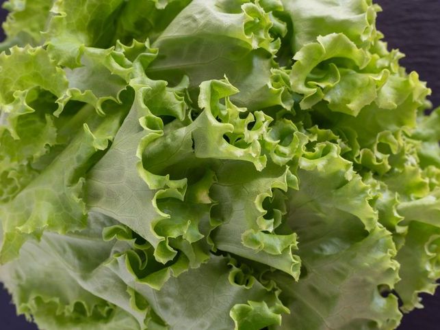 Masterton Spray Free (not organic) Green Frill Lettuce