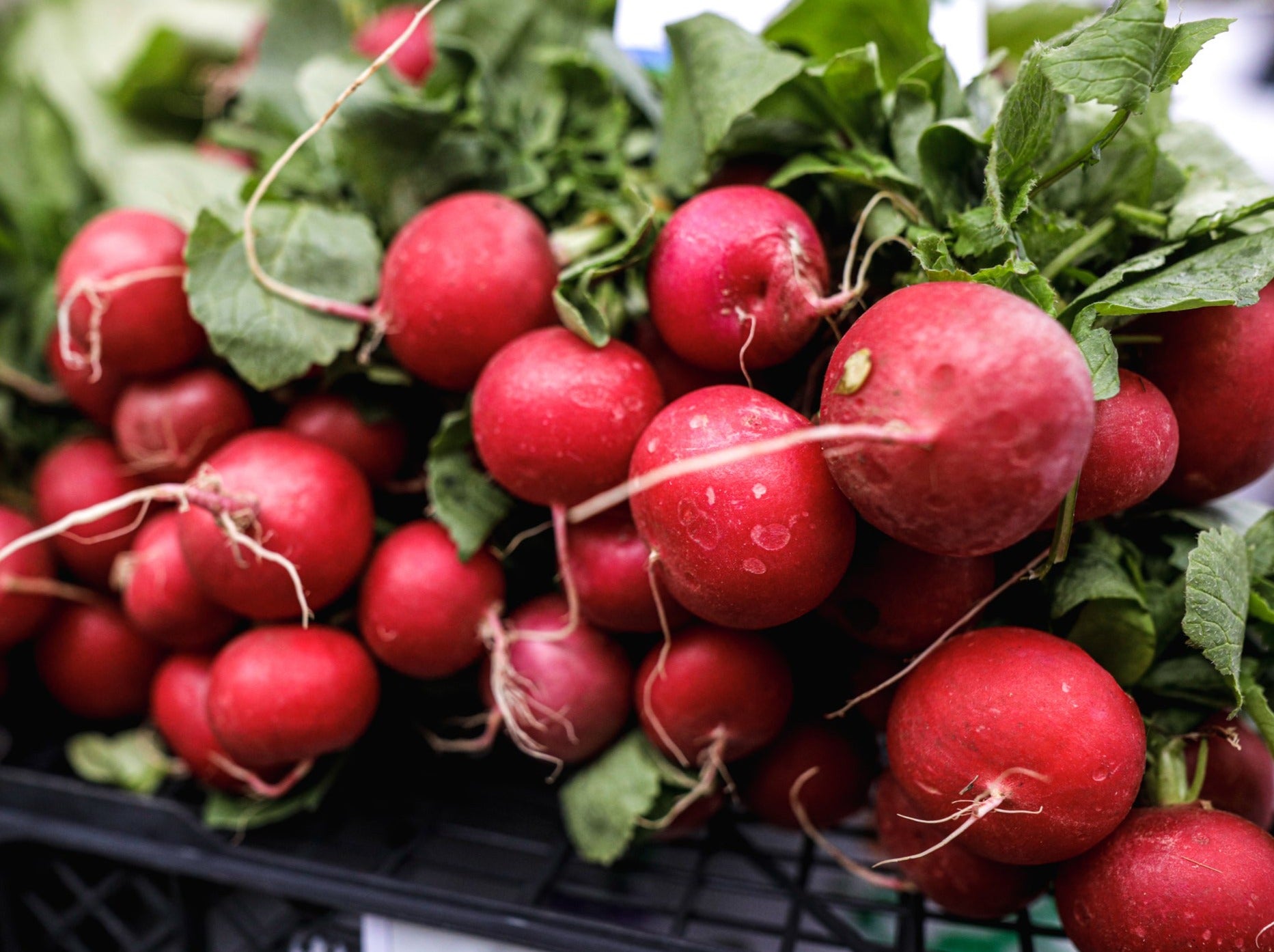 Crooked Vege Organic Radishes -  Bunch
