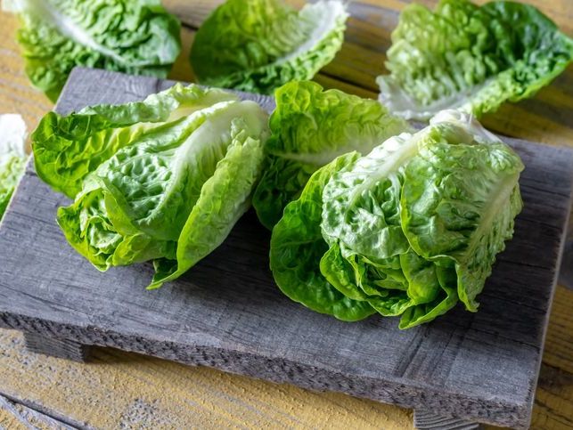 Masterton Spray Free (not organic) Baby Cos Lettuce - Twin Pack