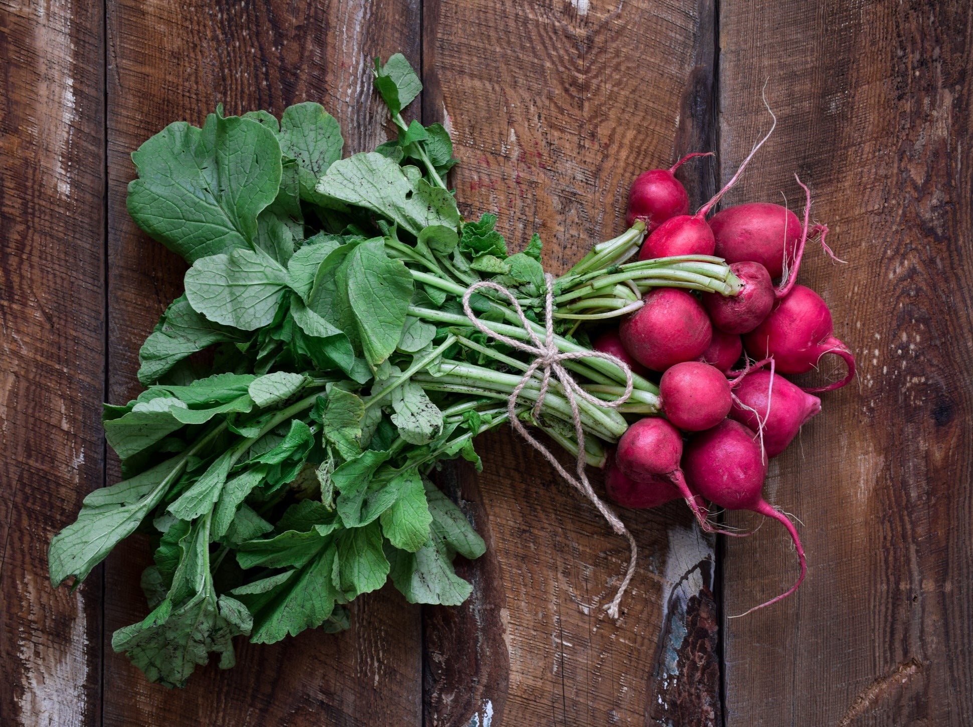 NZ Organic Radishes - Small Bunch