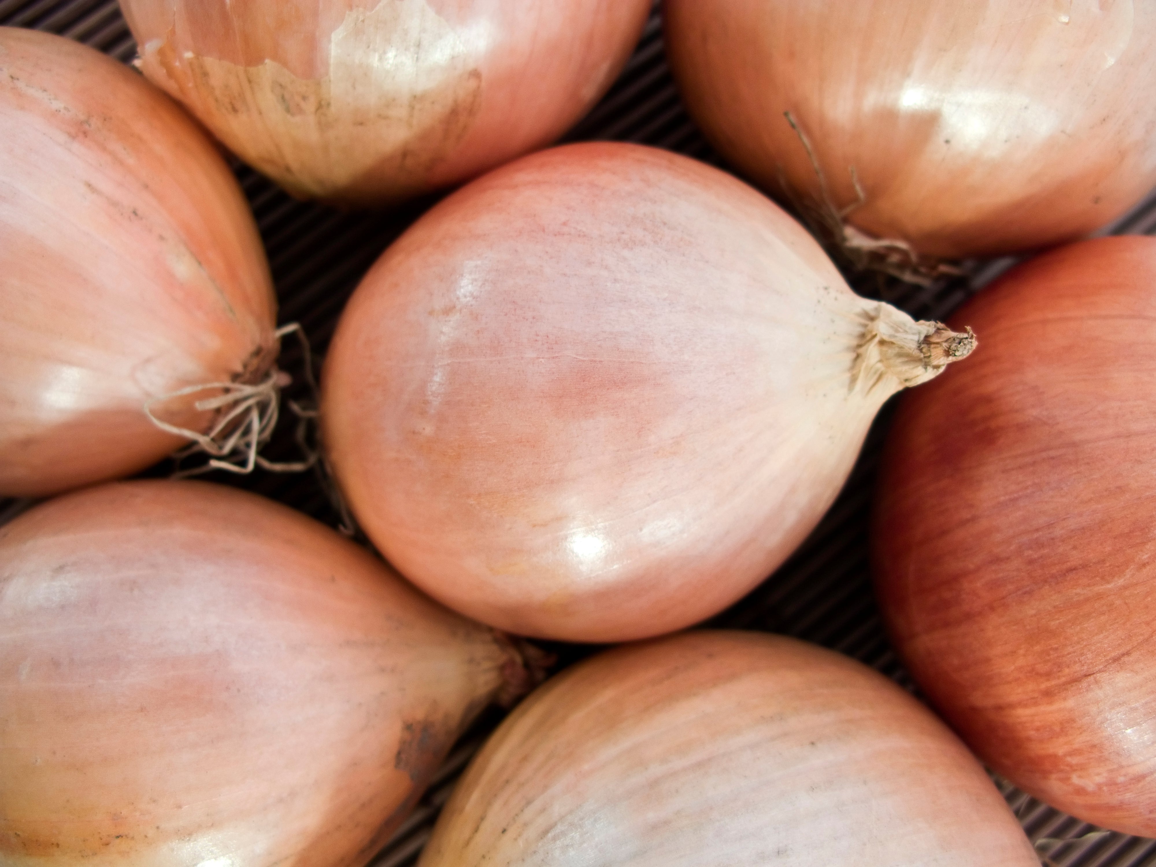 So Sweet Organic Brown Onions - Large
