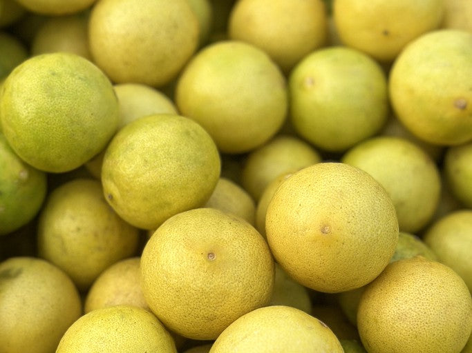 Local Organic Tahitian Limes