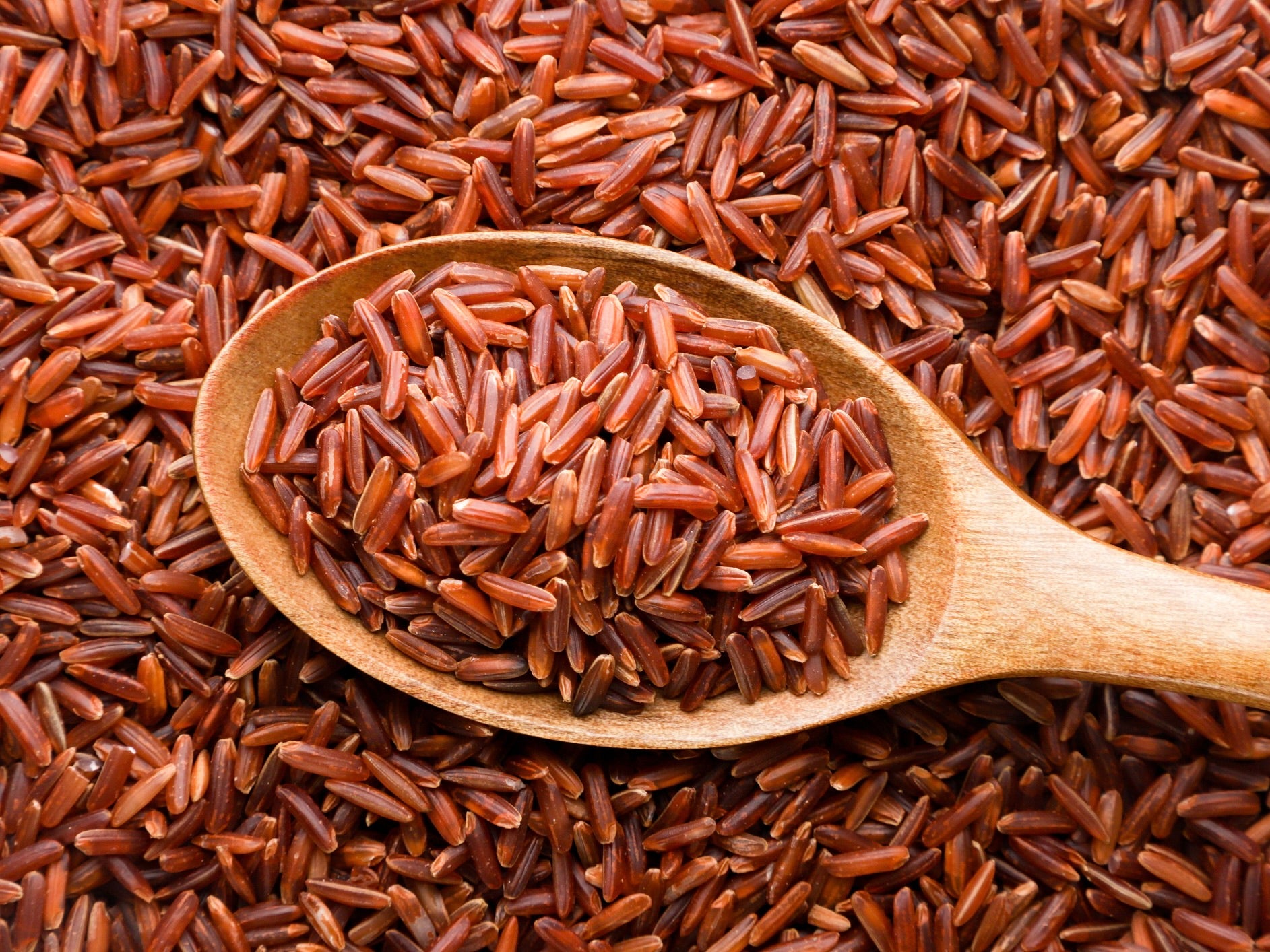 Organic Red Rice
